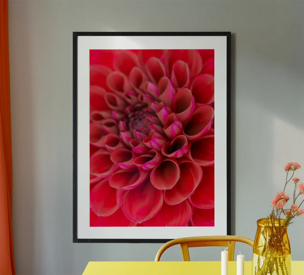 Vivid Elegance: Close-Up of a Red Dahlia poster with aluminum frame by Curious Collections by Marielle Leenders