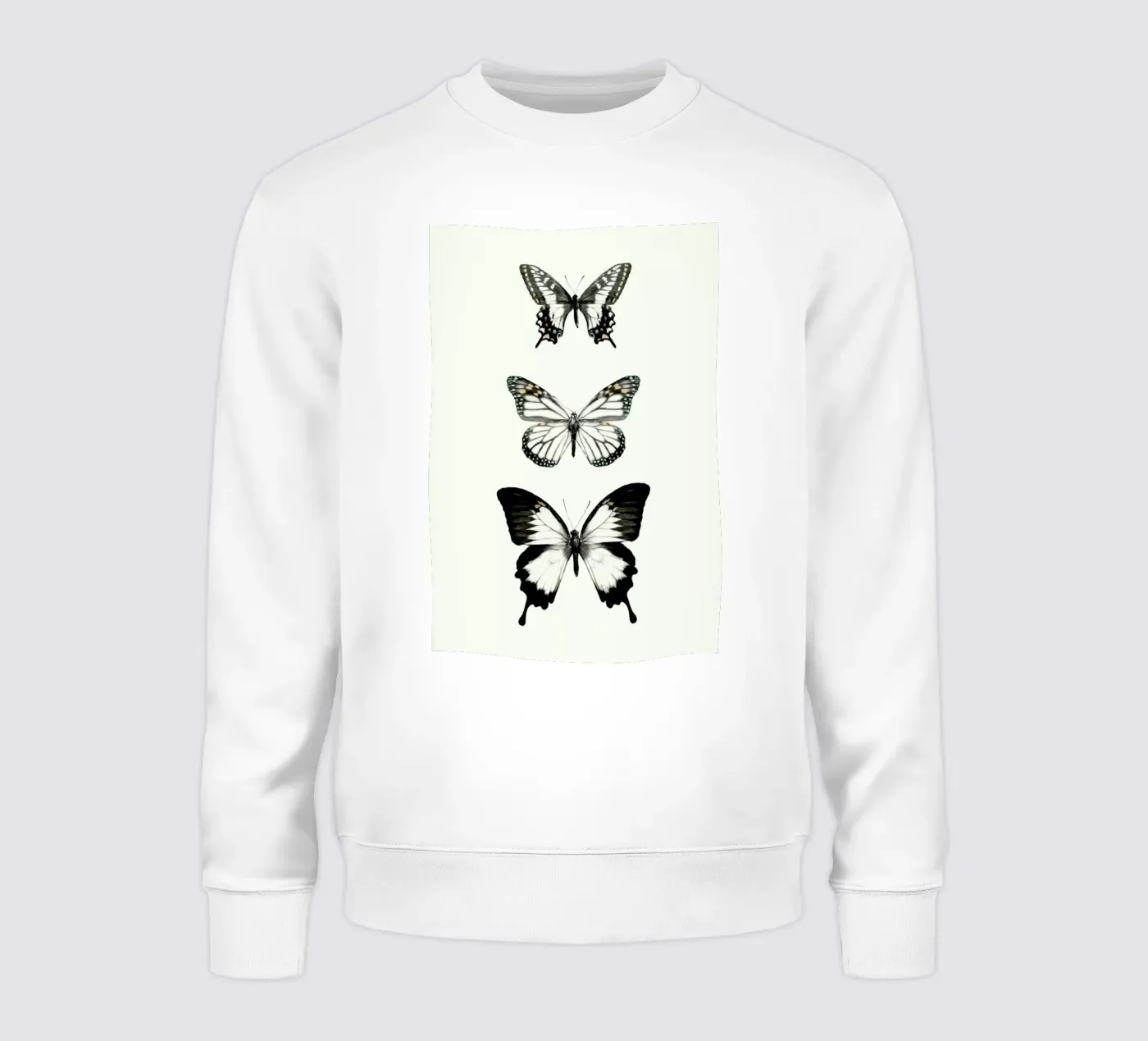 Align felpa da Amy Hamilton