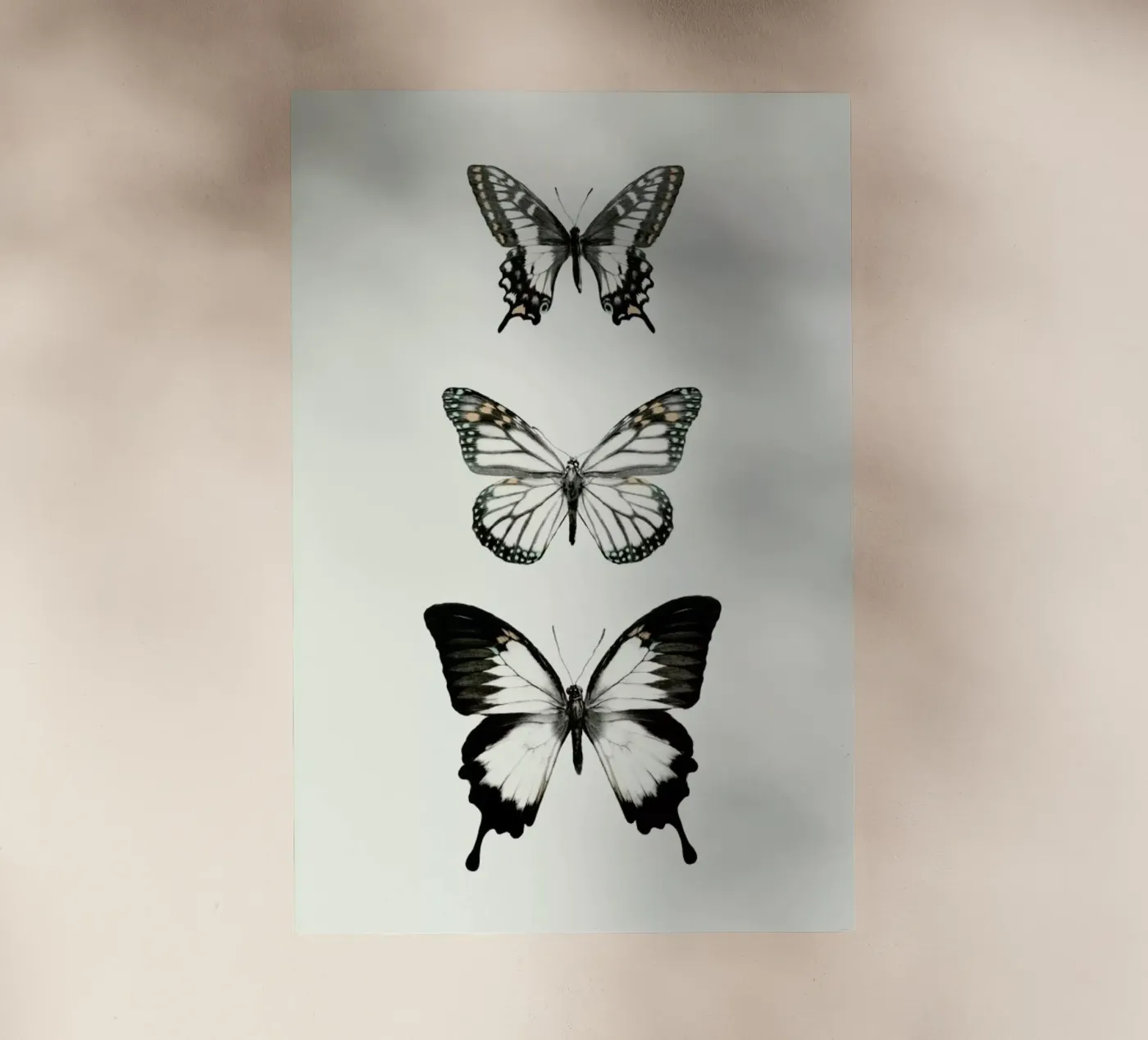 Align pellicola backlit da Amy Hamilton