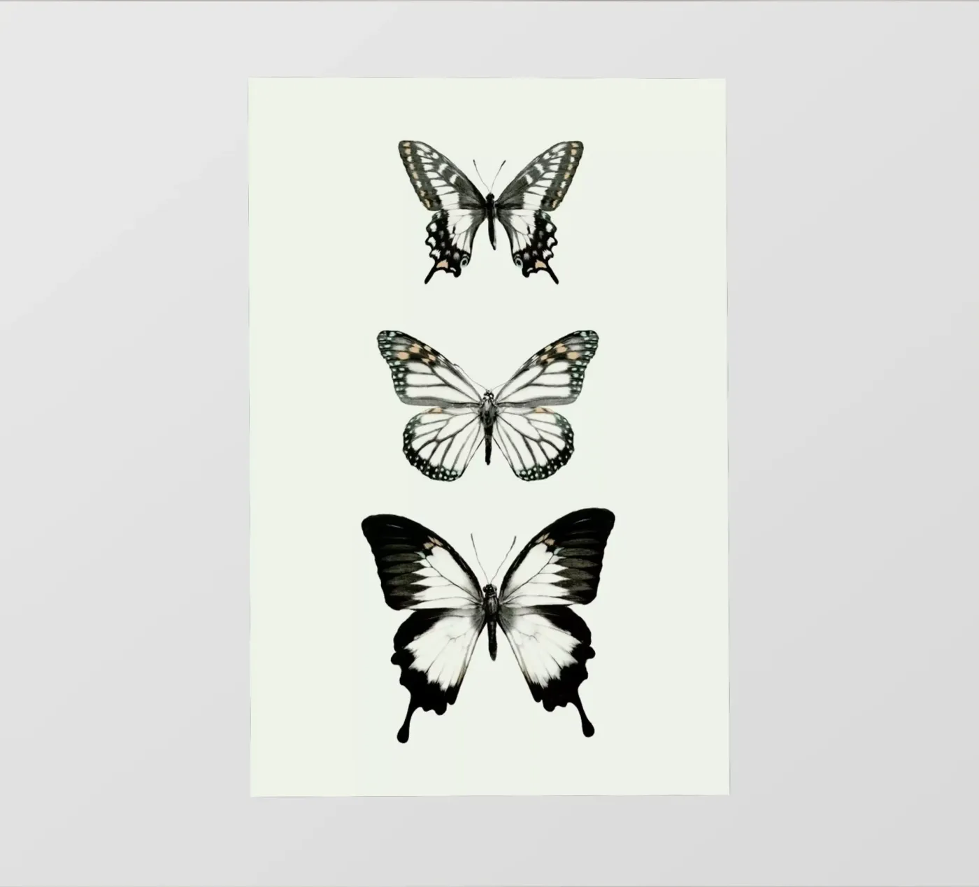 Align pellicola backlit da Amy Hamilton