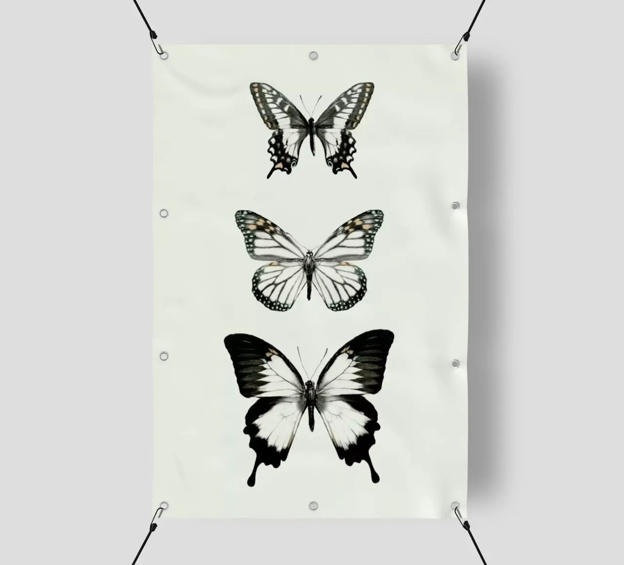 Align telo in pvc da Amy Hamilton