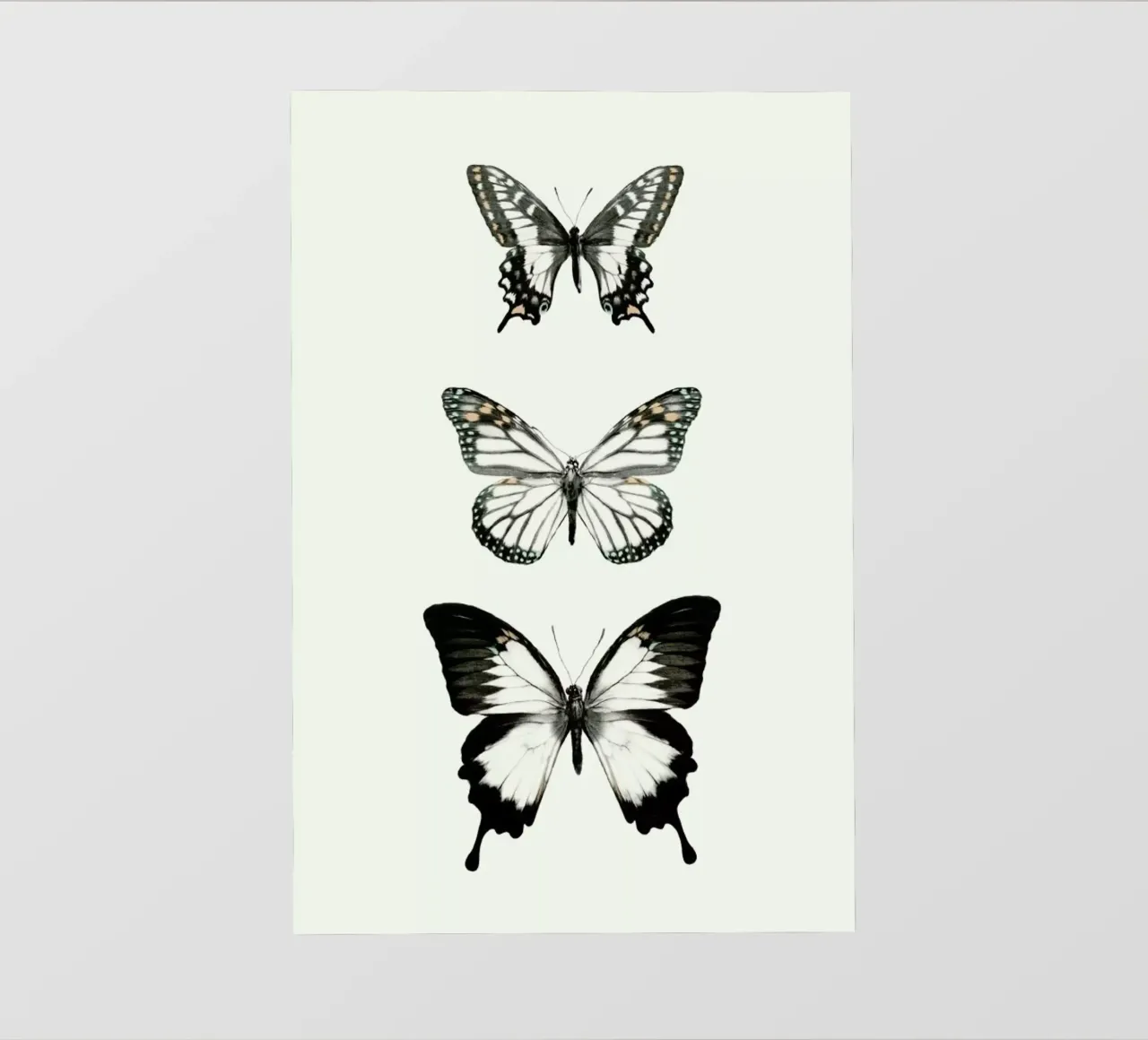 Align telo in pvc da Amy Hamilton