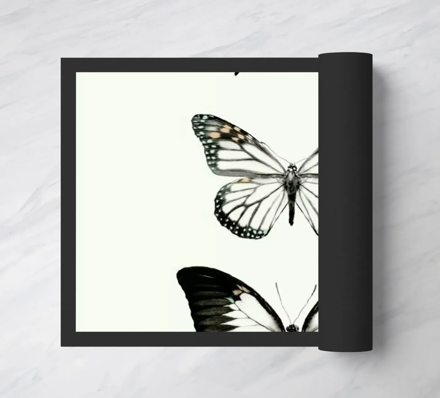 Align zerbino da Amy Hamilton