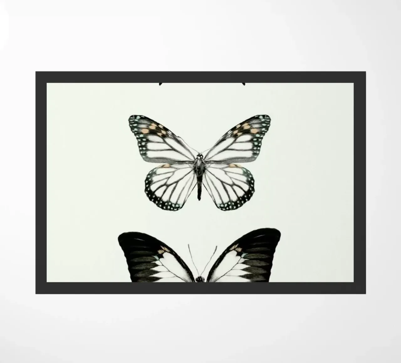 Align zerbino da Amy Hamilton