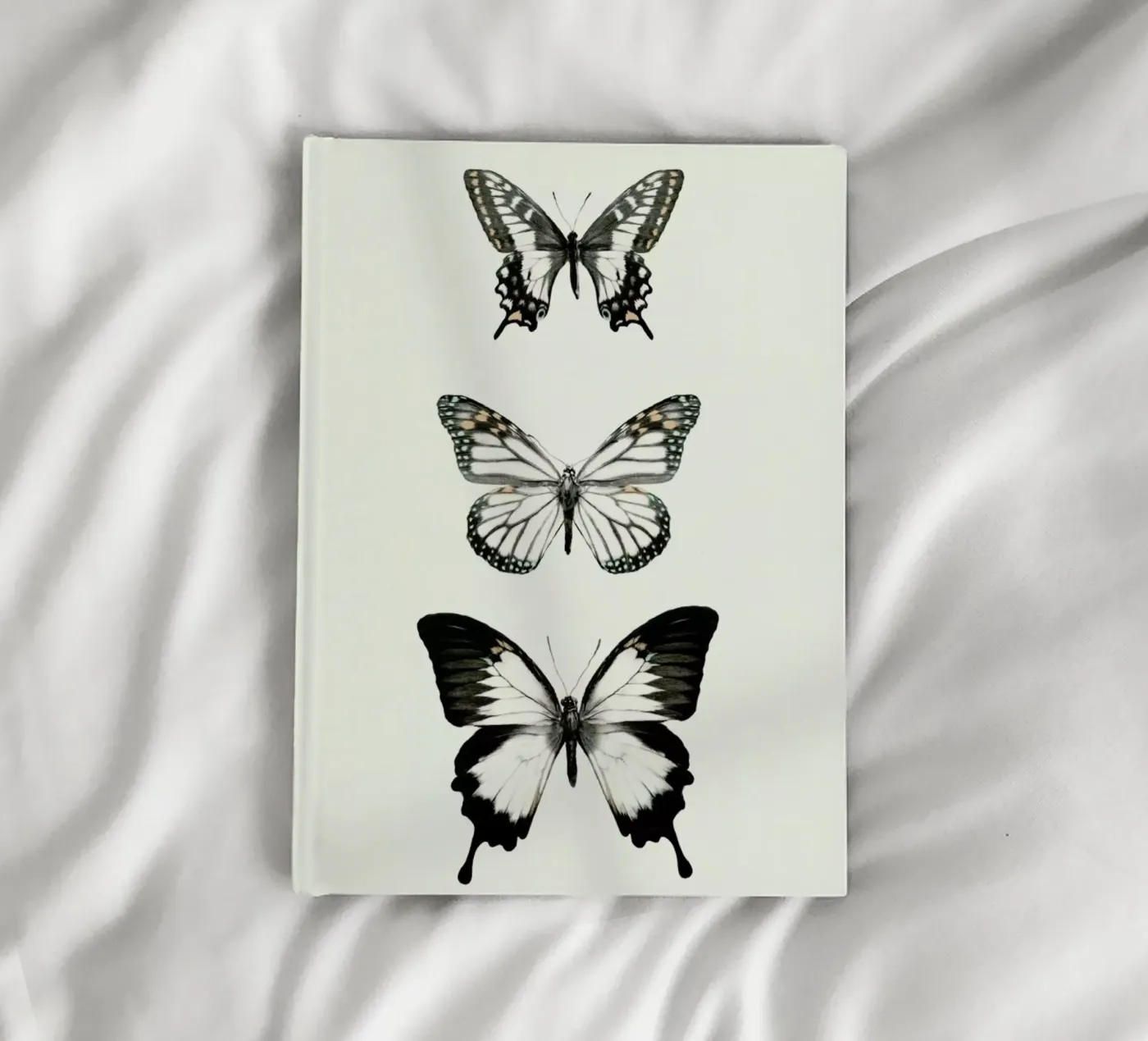 Align carnet de Amy Hamilton