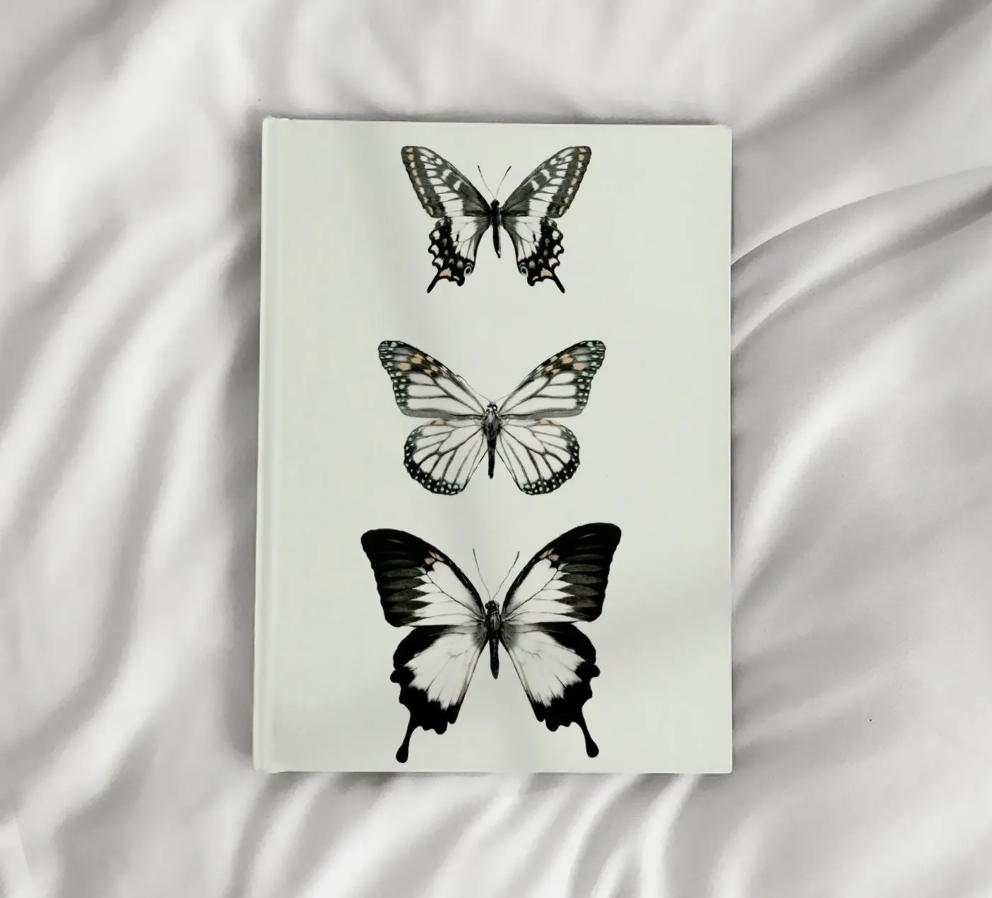 Align notebook by Amy Hamilton