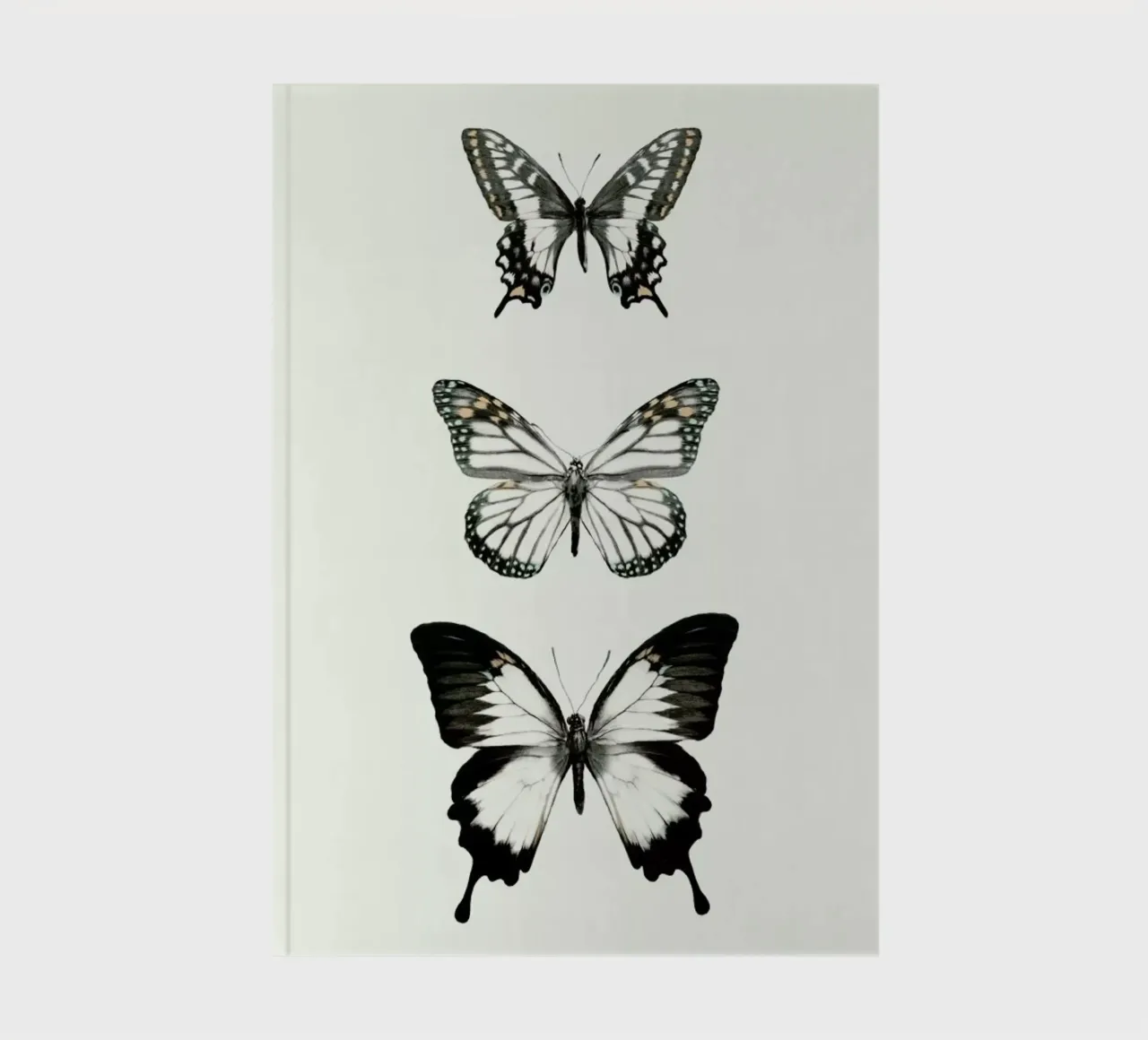 Align notebook by Amy Hamilton