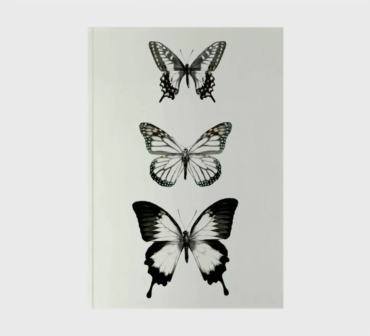 Align carnet de Amy Hamilton