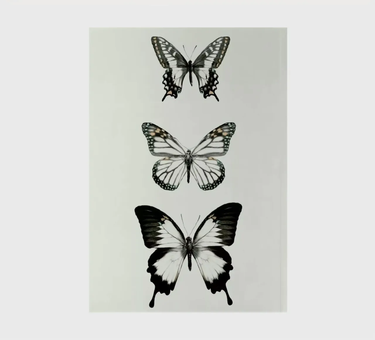 Align notebook by Amy Hamilton