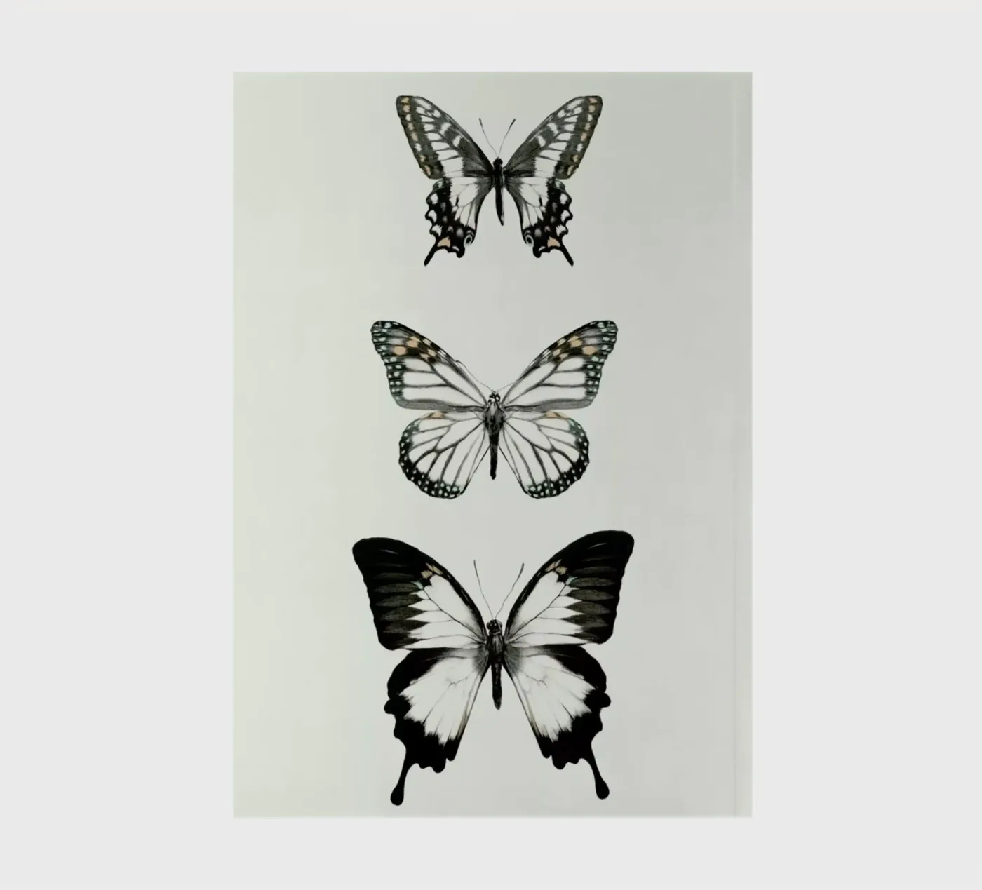 Align carnet de Amy Hamilton