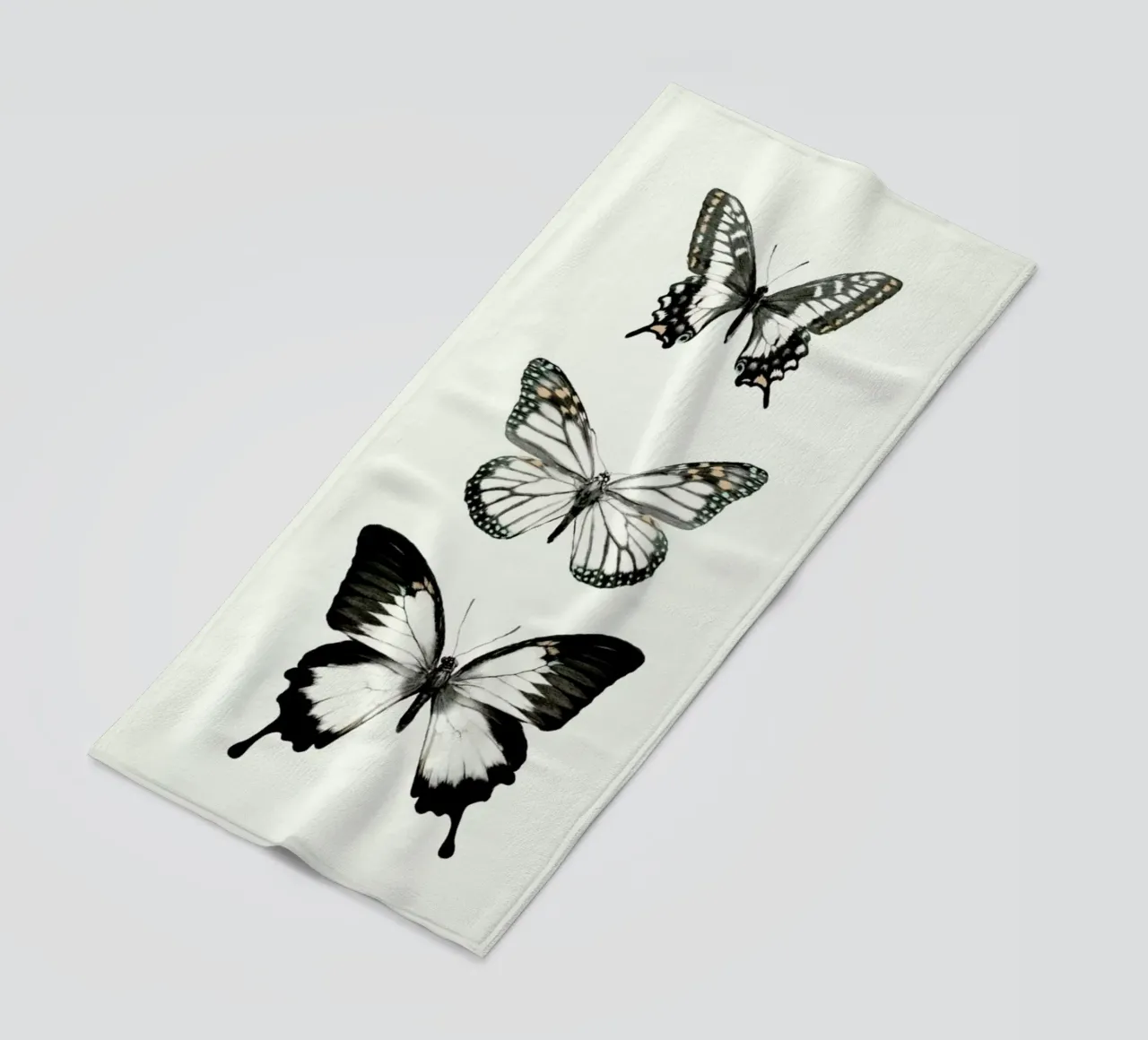 Align telo mare da Amy Hamilton