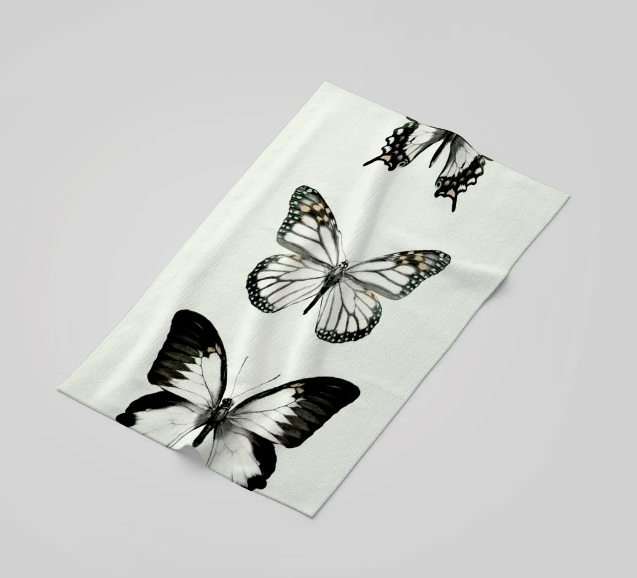 Align telo mare da Amy Hamilton