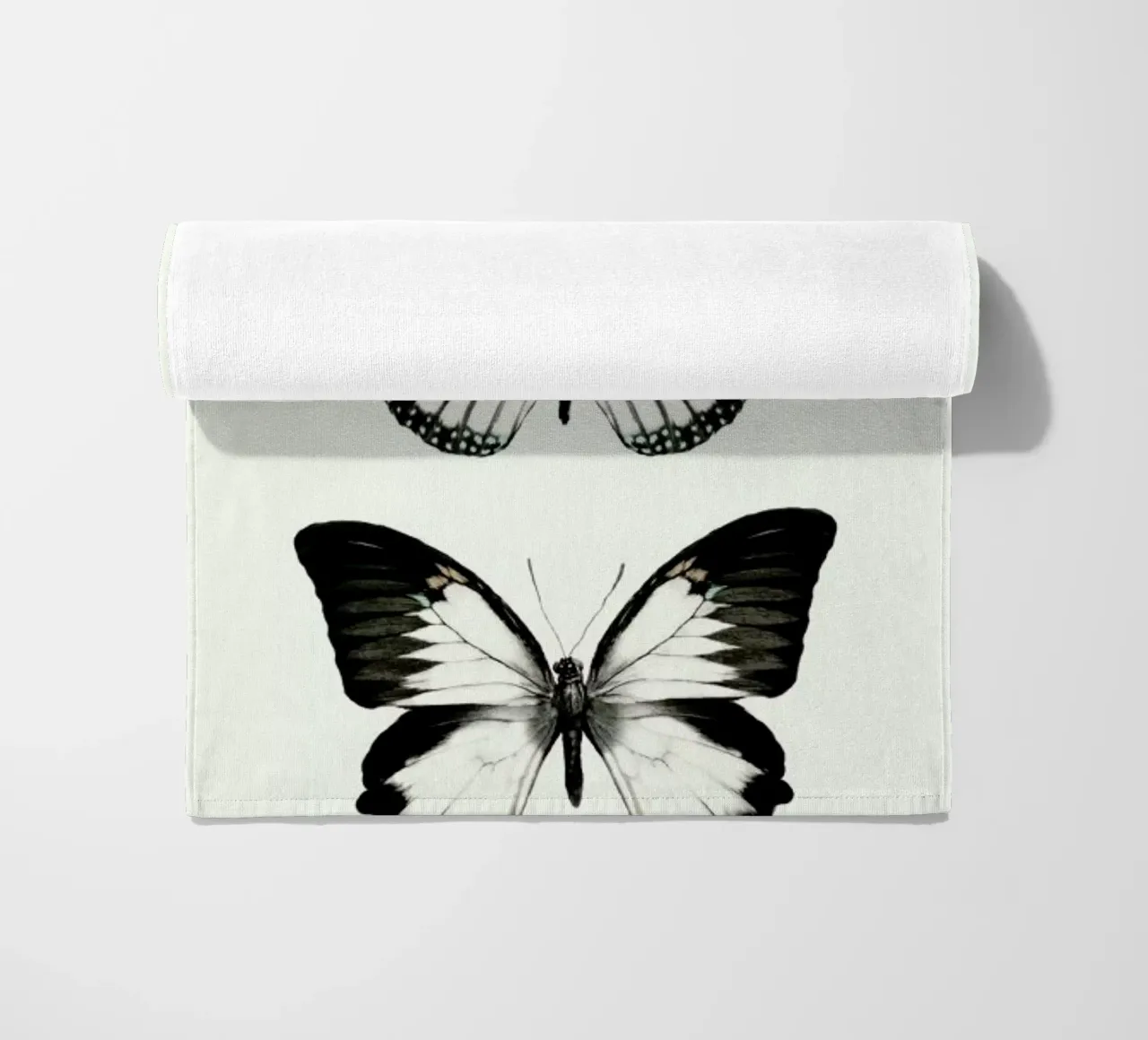 Align telo mare da Amy Hamilton