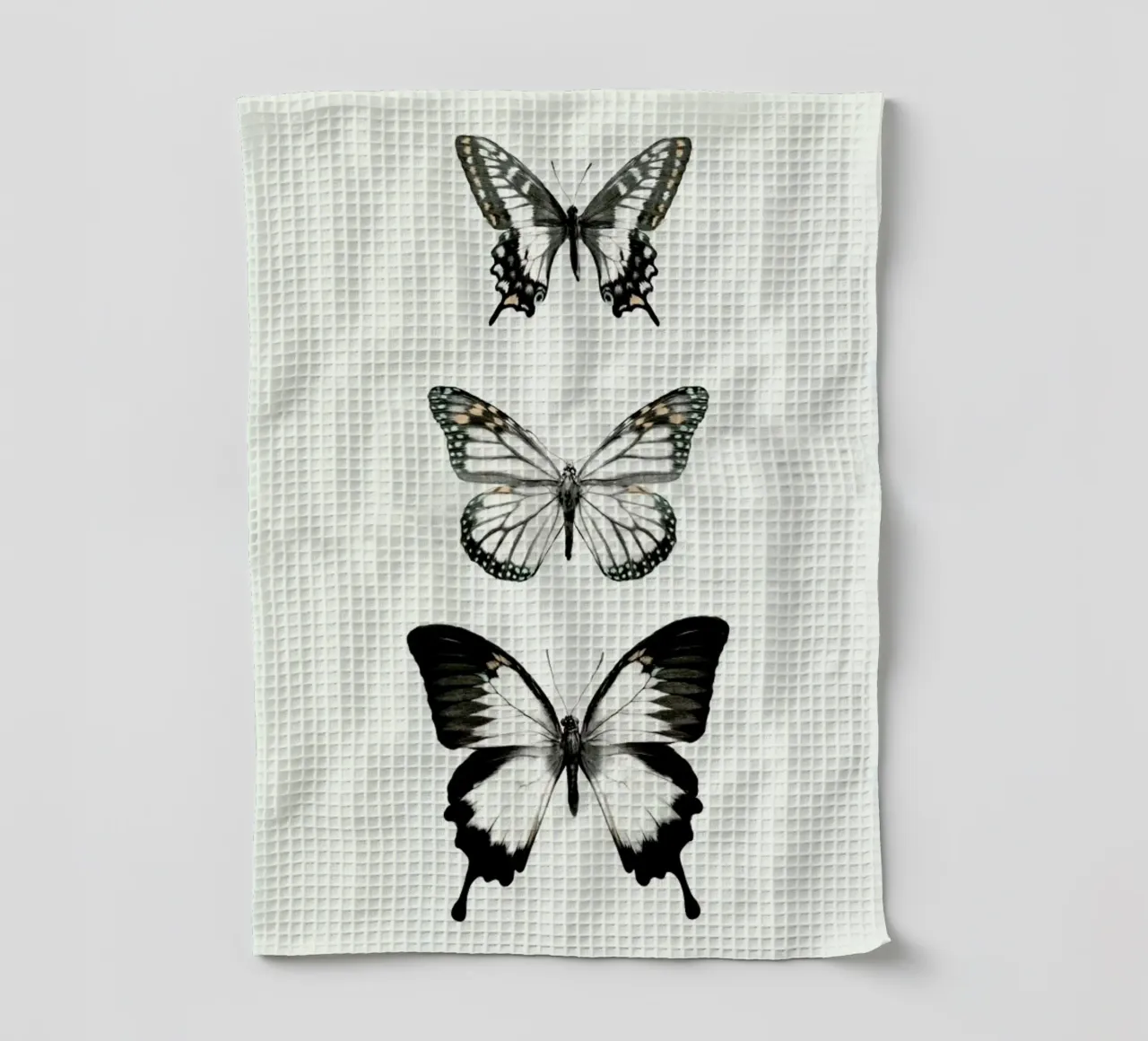 Align canovaccio da cucina da Amy Hamilton