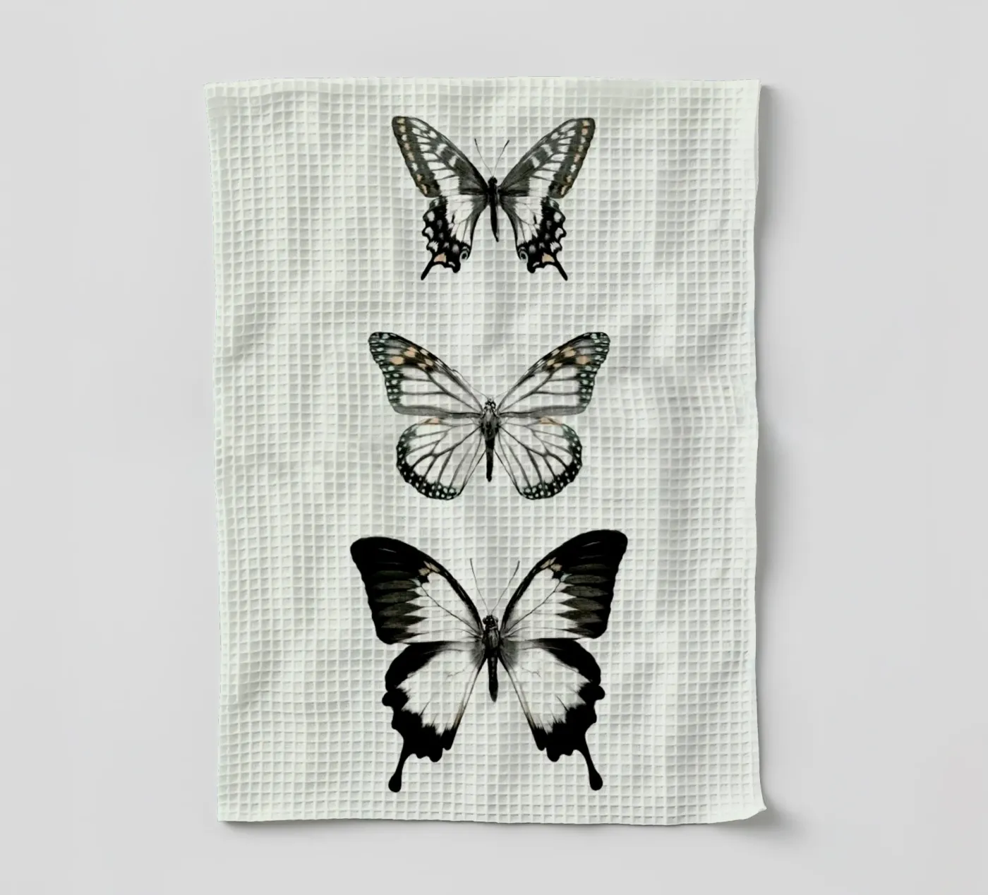Align torchon de Amy Hamilton