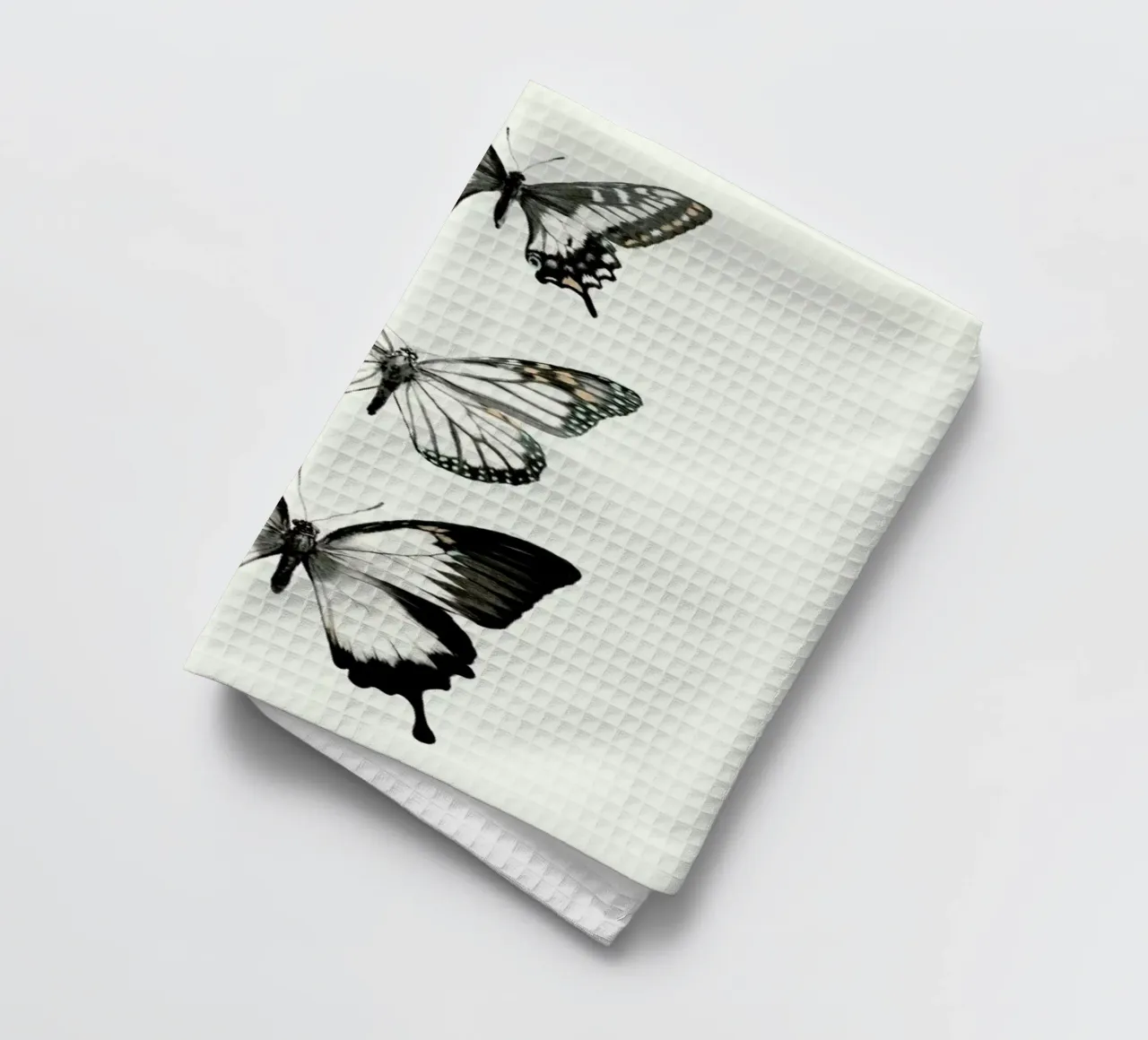 Align canovaccio da cucina da Amy Hamilton