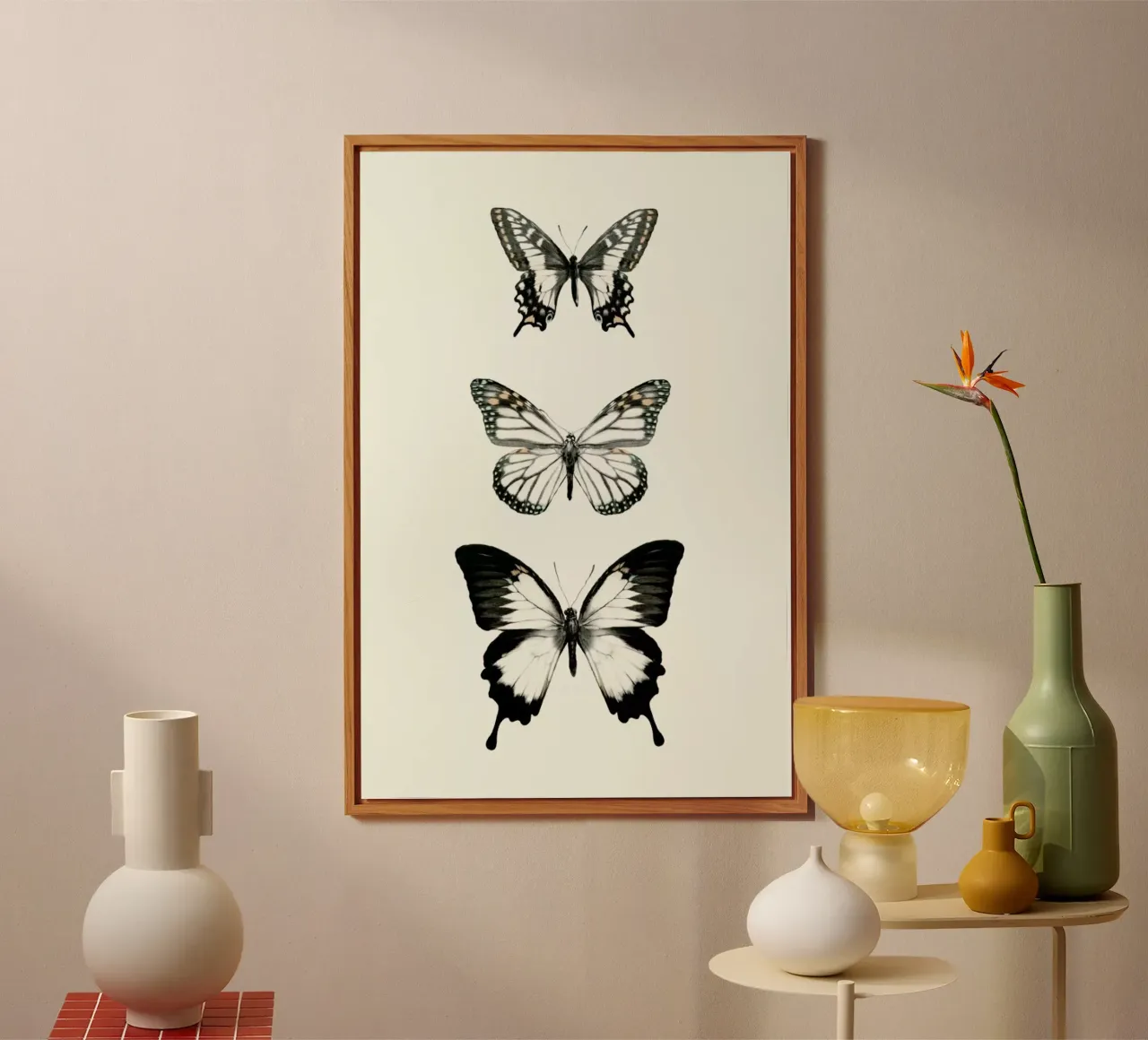 Align forex plate by Amy Hamilton