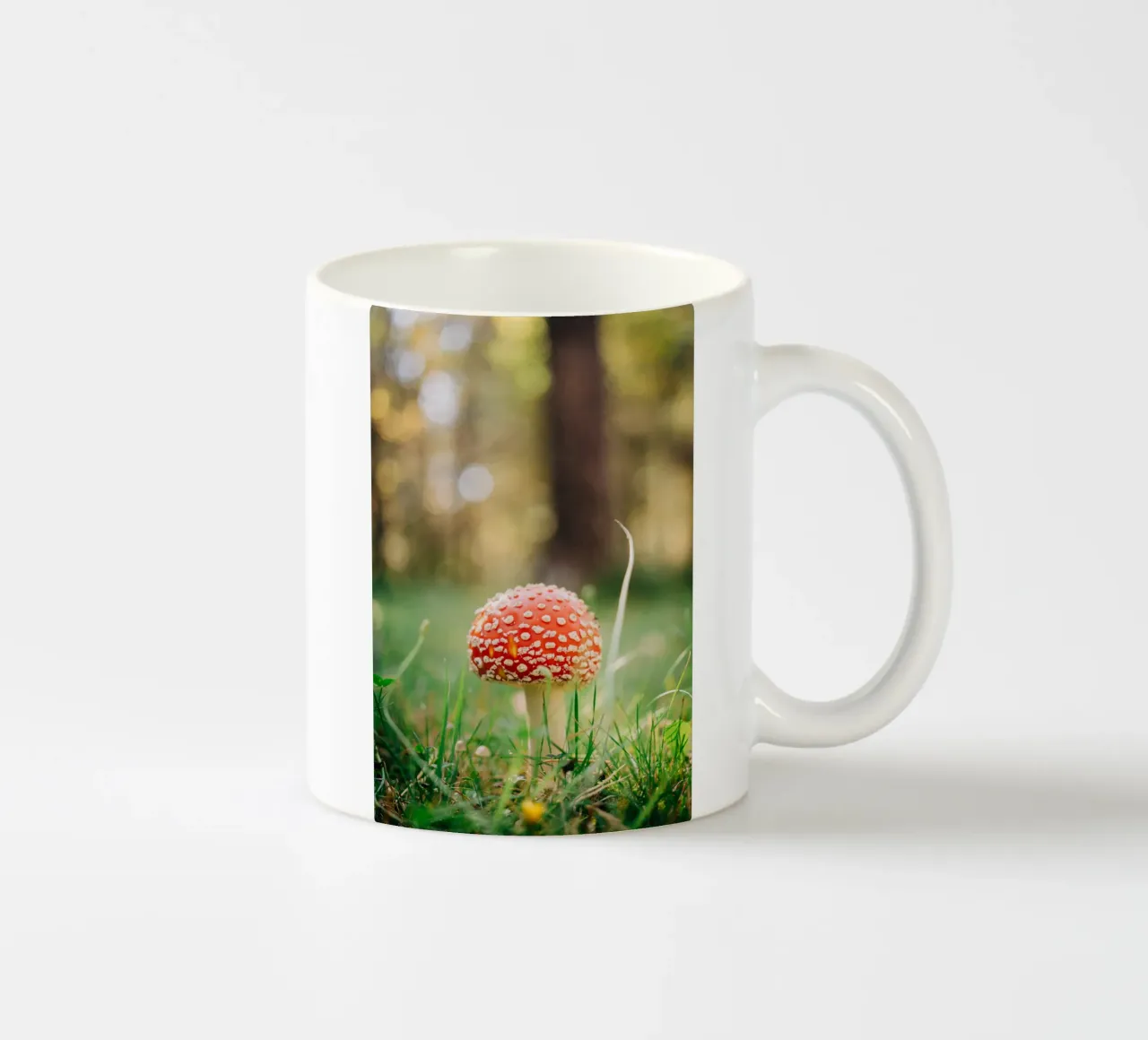 Fly agaric in the forest - mushroom photography in autumn ceramic mug by Bold and Retro