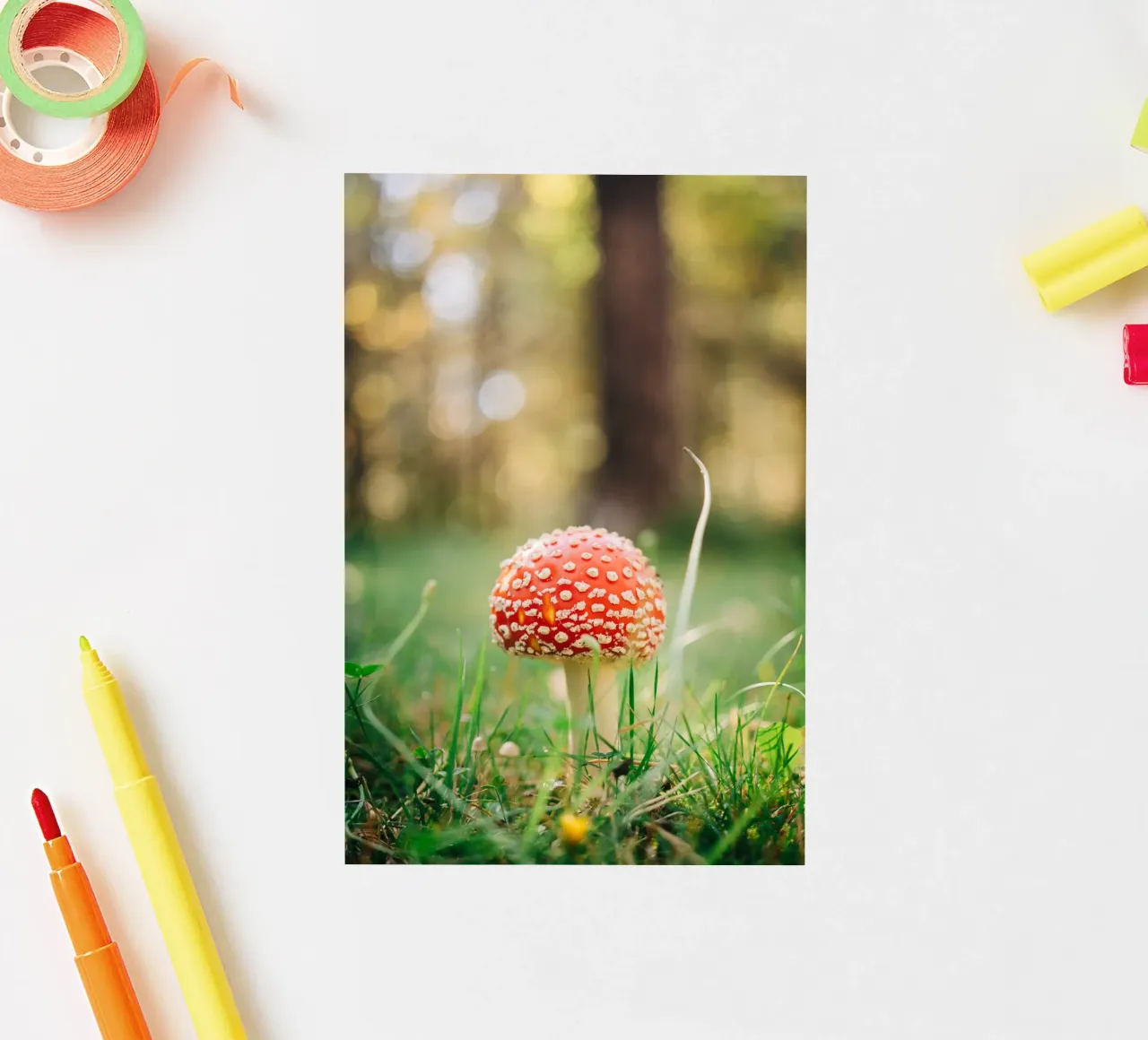 Fly agaric in the forest - mushroom photography in autumn sticker by Bold and Retro