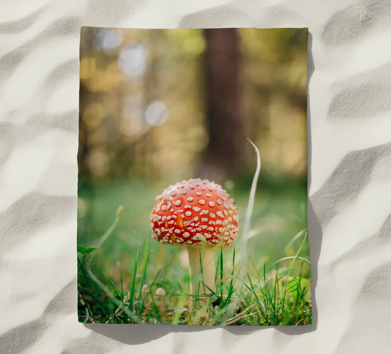 Fly agaric in the forest - mushroom photography in autumn beach towel by Bold and Retro