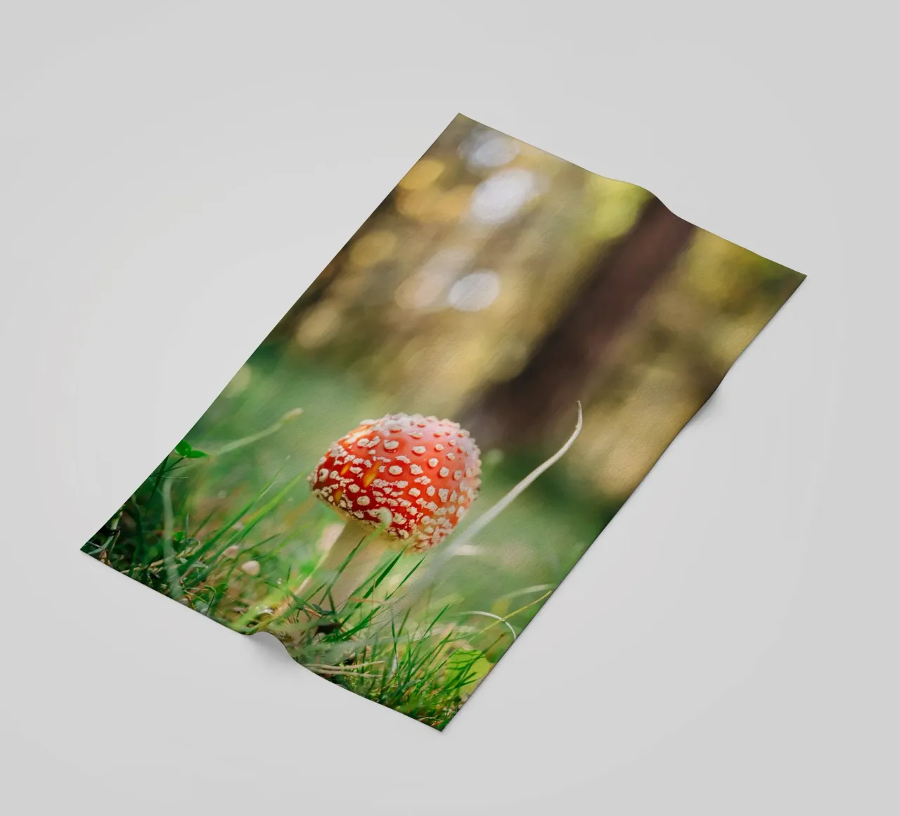 Fly agaric in the forest - mushroom photography in autumn beach towel by Bold and Retro