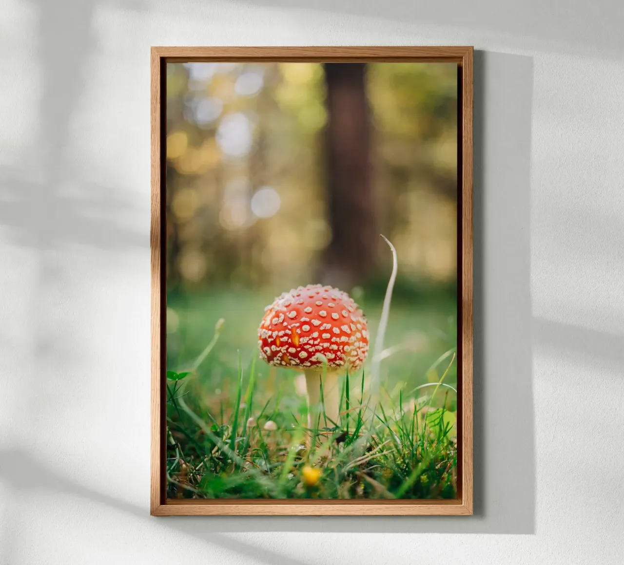 Fly agaric in the forest - mushroom photography in autumn canvas by Bold and Retro