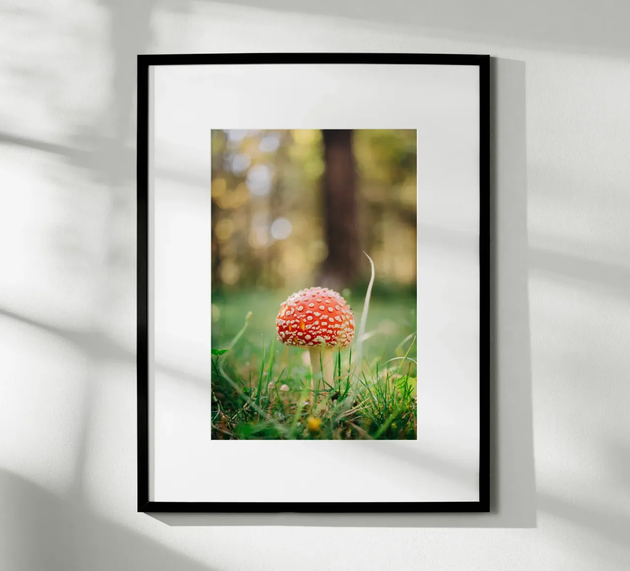 Fly agaric in the forest - mushroom photography in autumn hahnemühle by Bold and Retro