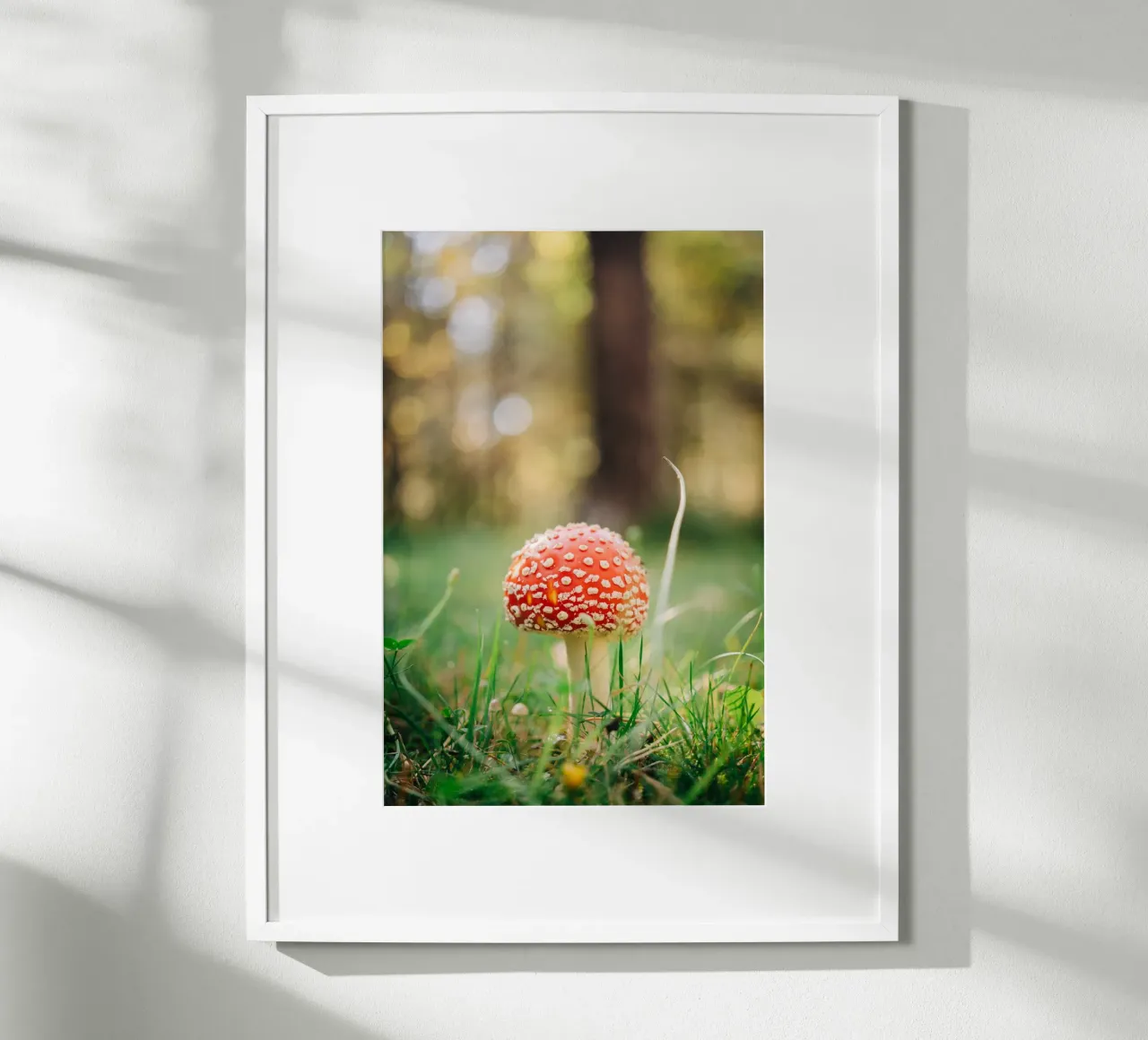 Fly agaric in the forest - mushroom photography in autumn hahnemühle by Bold and Retro