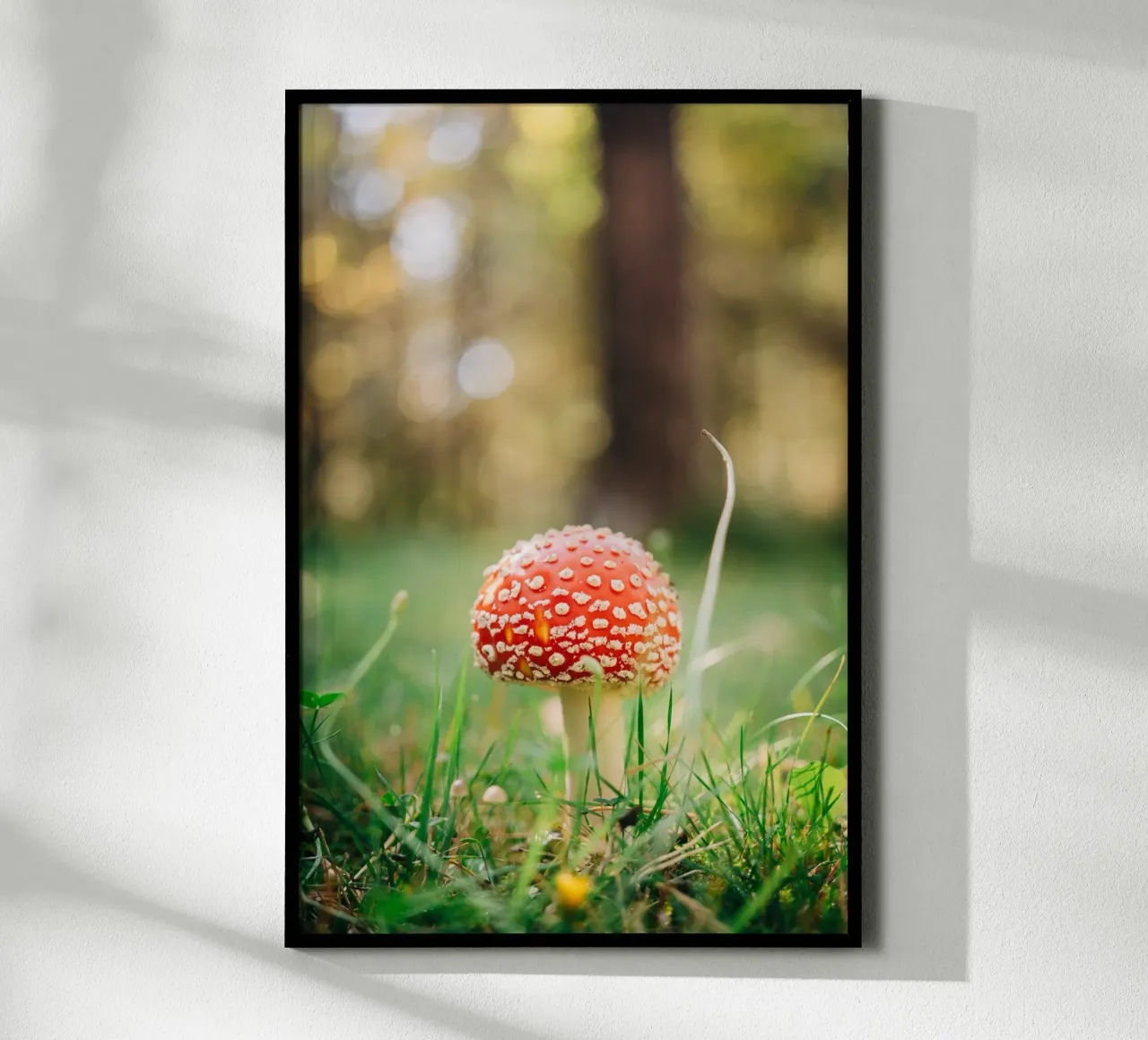 Fly agaric in the forest - mushroom photography in autumn hahnemühle by Bold and Retro