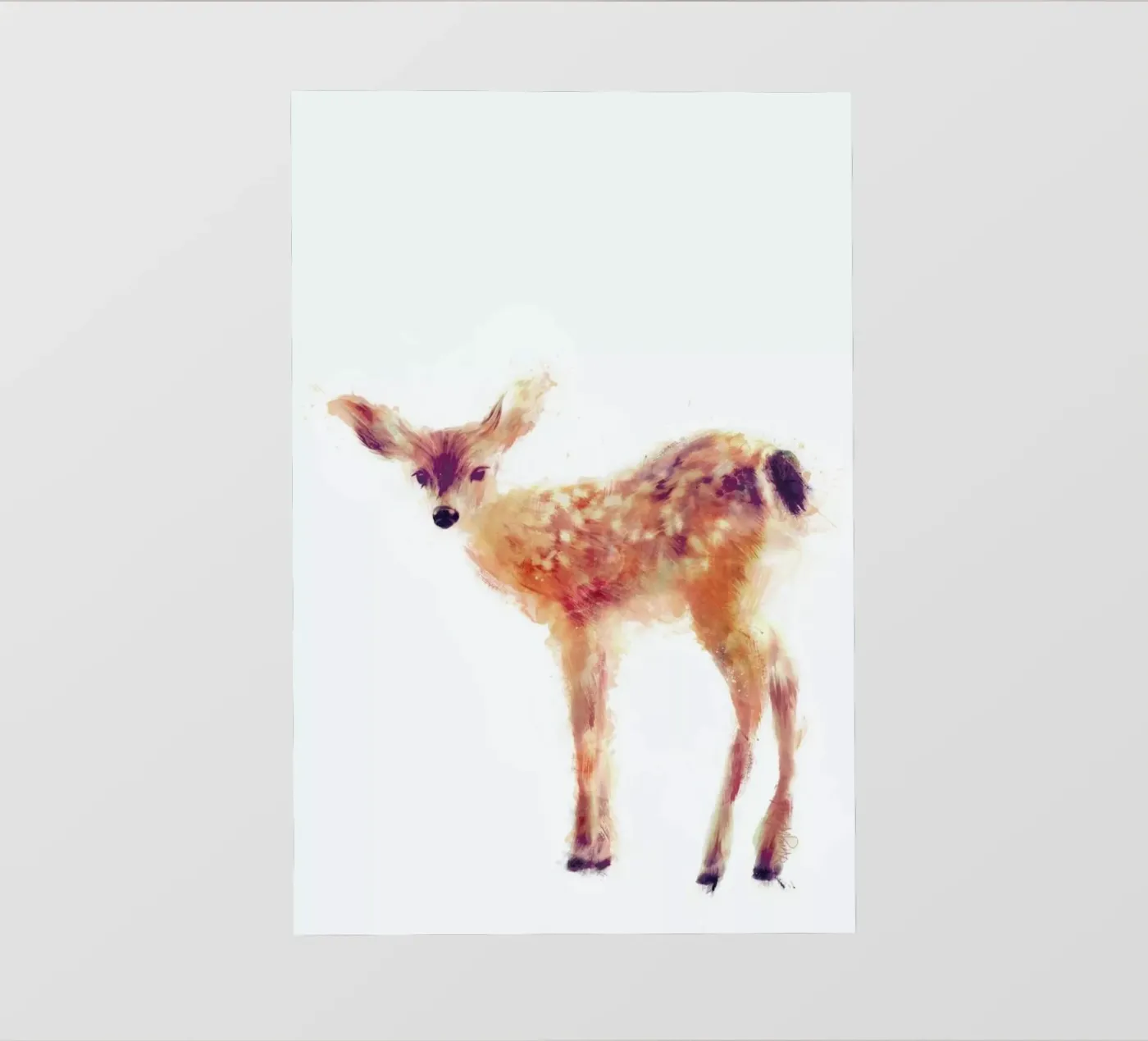 Fawn pellicola backlit da Amy Hamilton