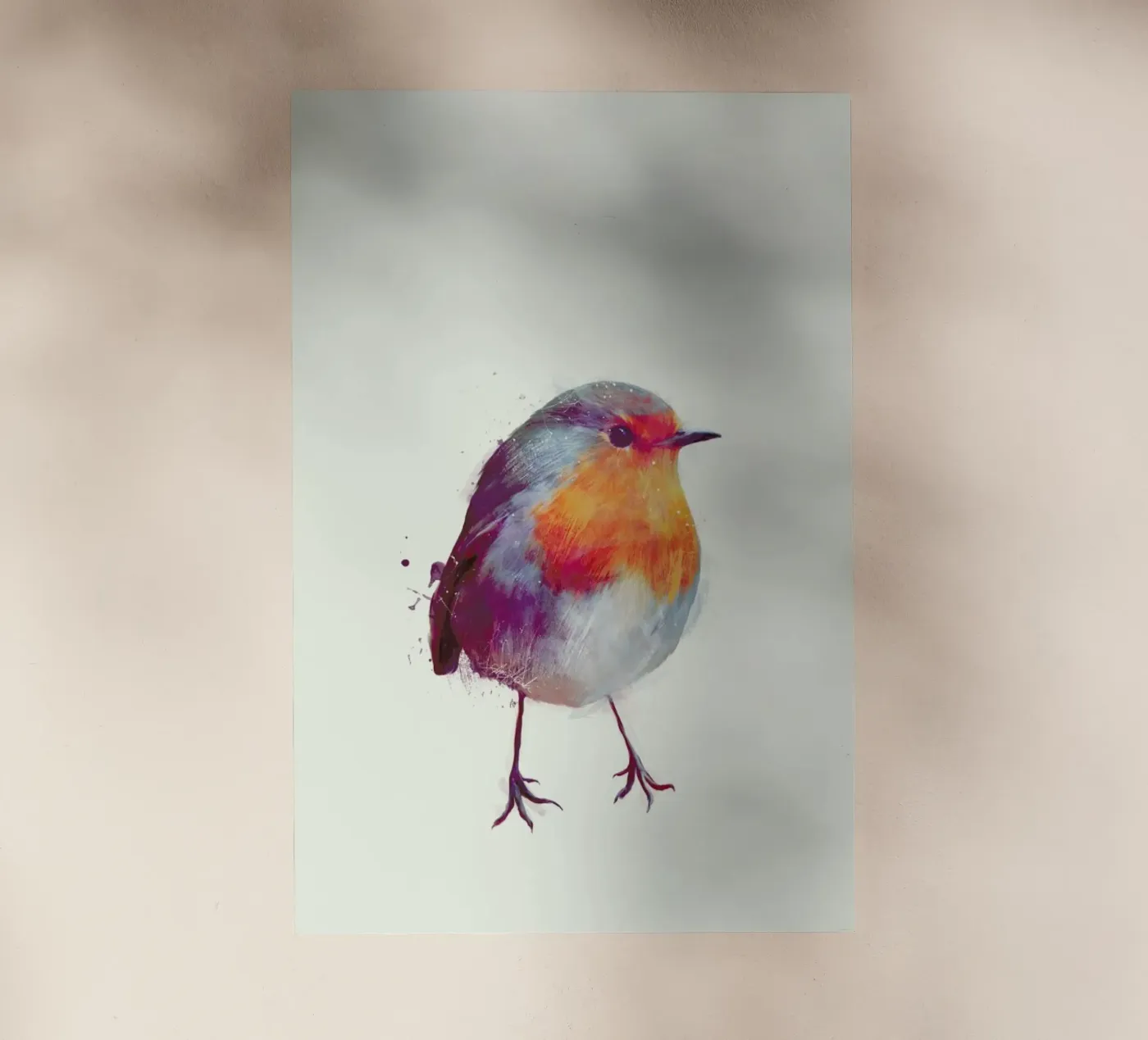 Winter Robin pellicola backlit da Amy Hamilton