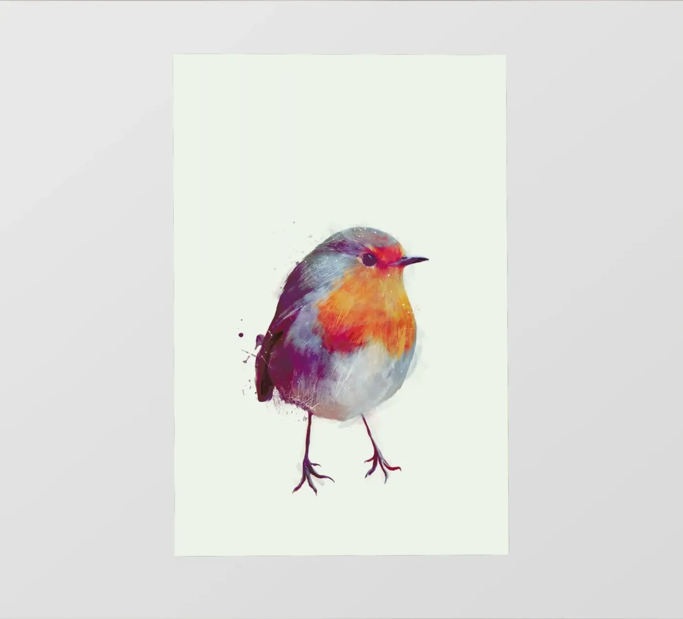 Winter Robin pellicola backlit da Amy Hamilton