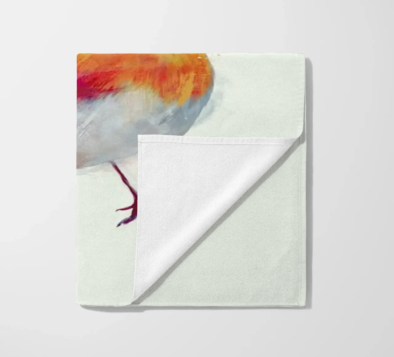 Winter Robin telo mare da Amy Hamilton