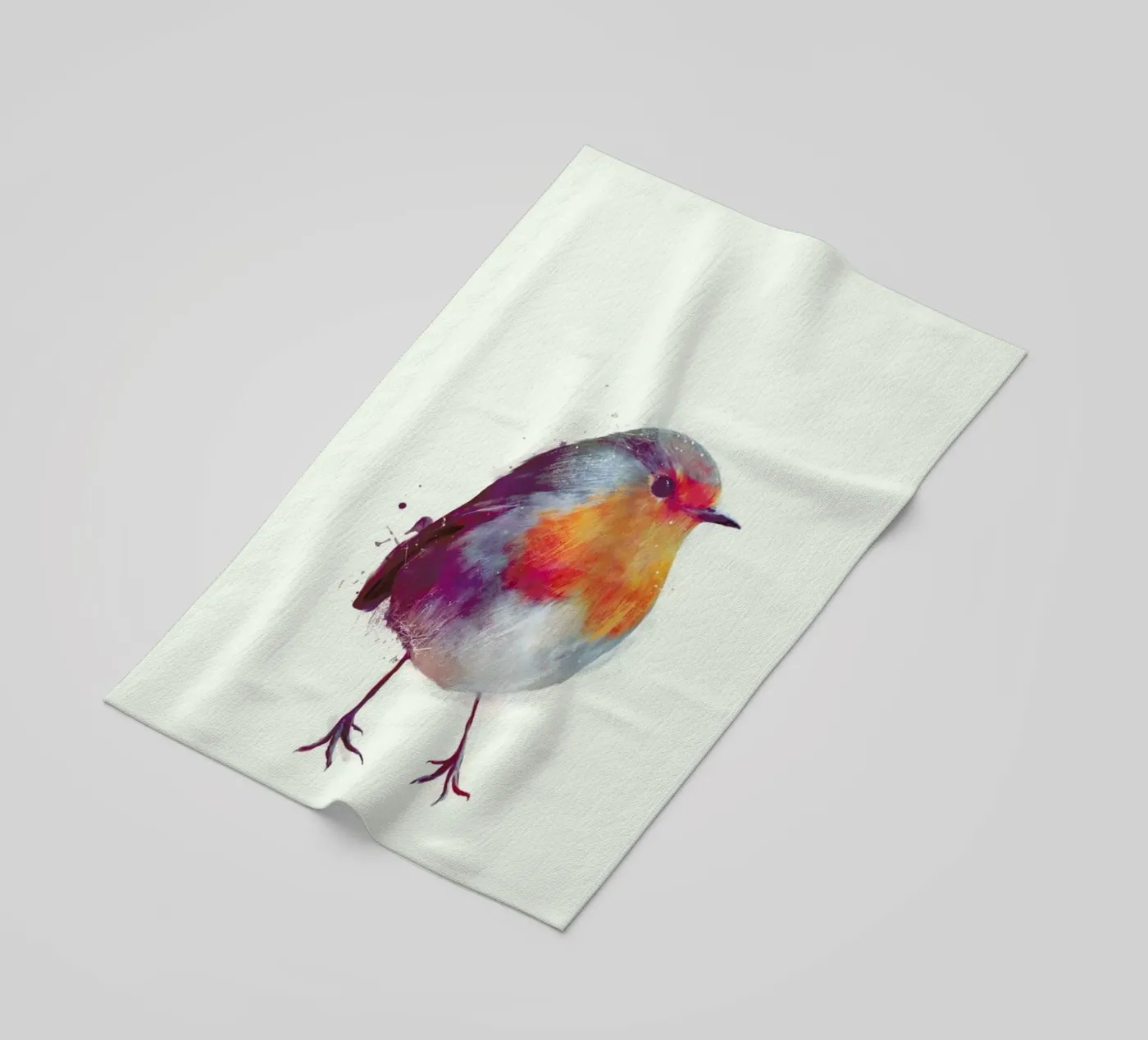 Winter Robin telo mare da Amy Hamilton
