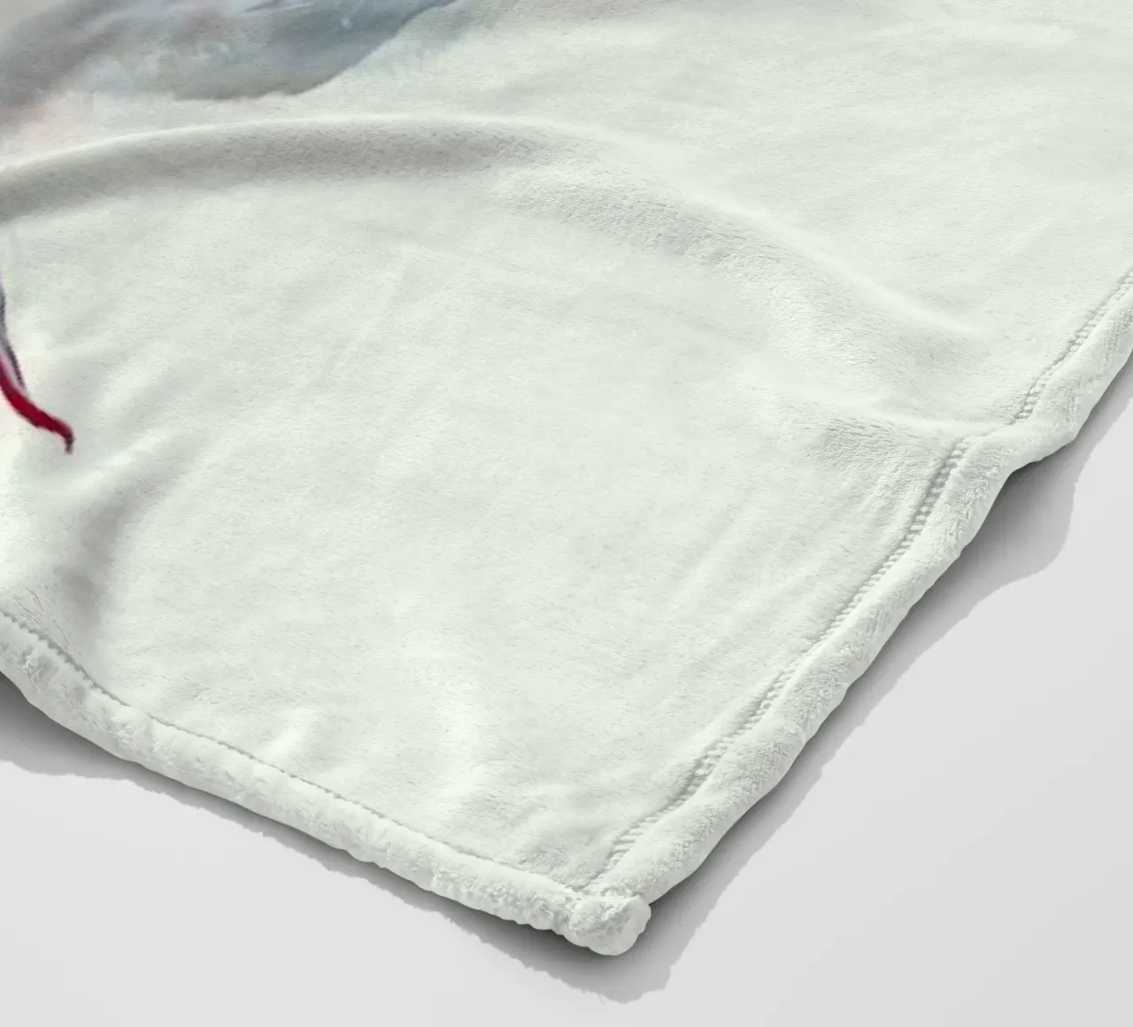 Winter Robin fleece blanket by Amy Hamilton