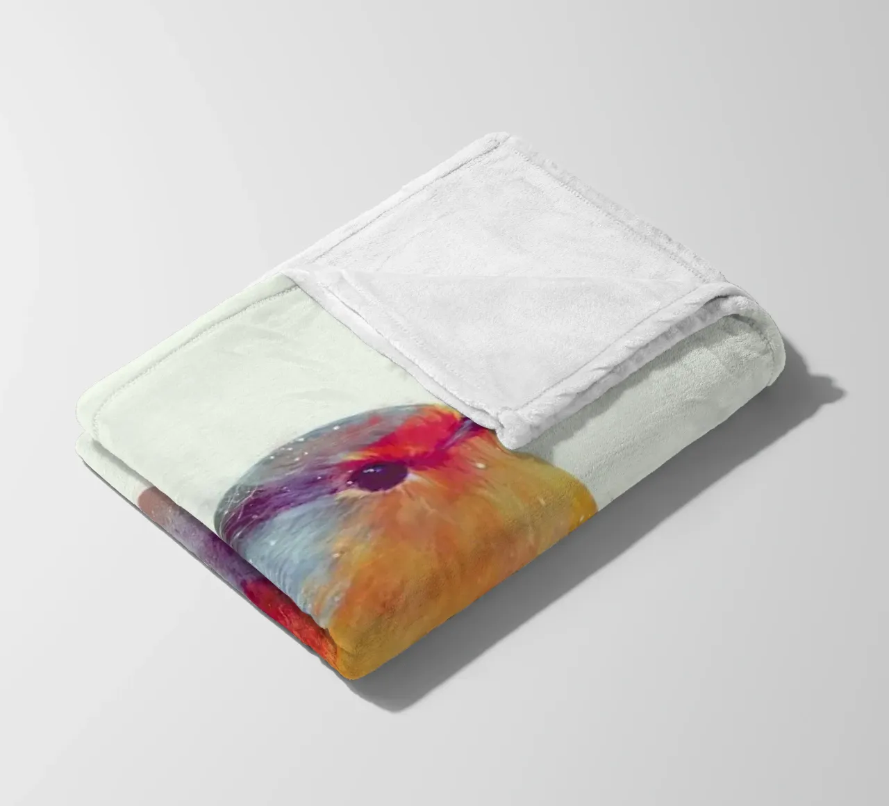 Winter Robin fleece blanket by Amy Hamilton