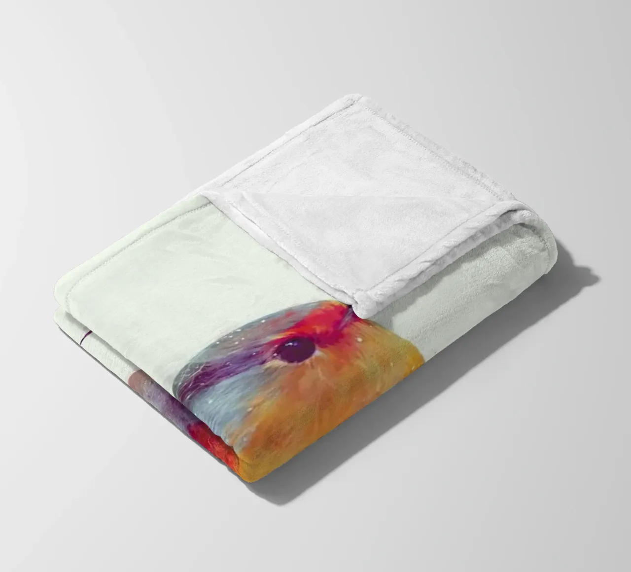 Winter Robin fleece blanket by Amy Hamilton