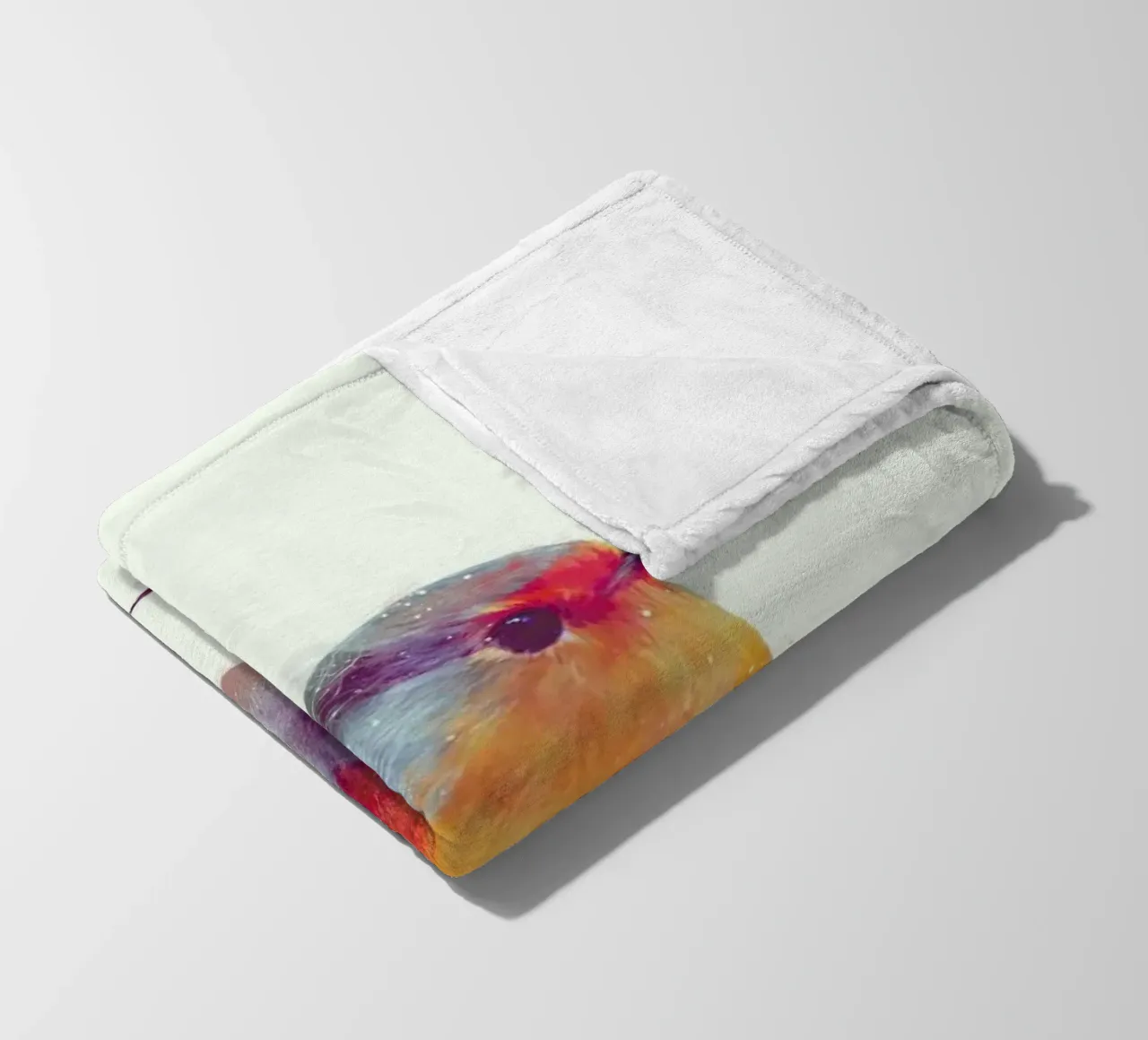 Winter Robin fleece blanket by Amy Hamilton