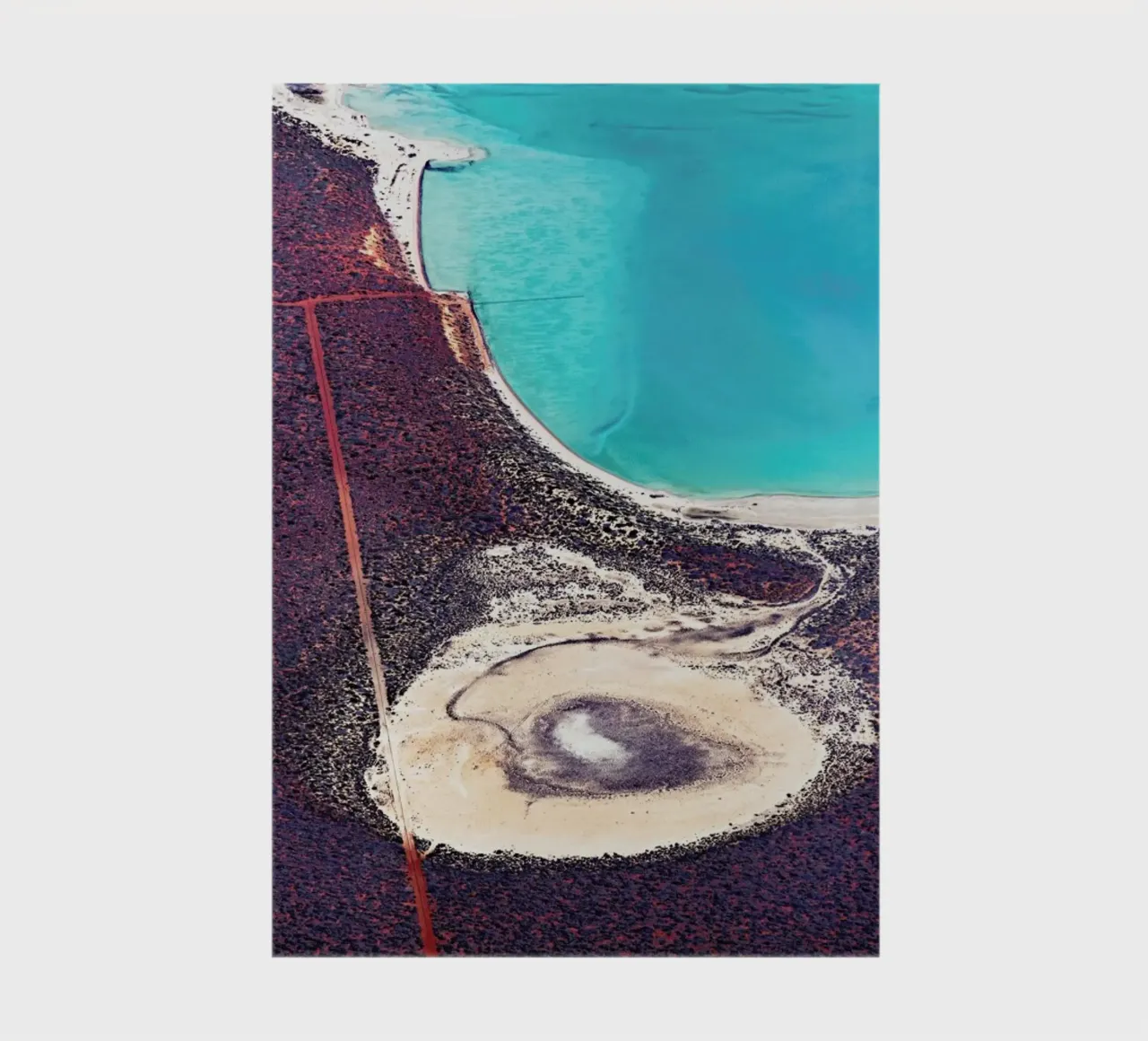 Shark Bay 12 notebook by Simon Butterworth