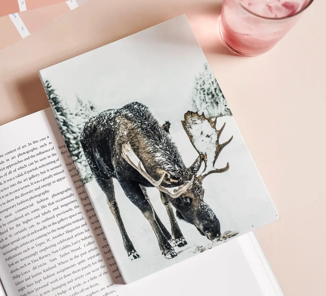 Winter moose nature design notebook by Whole©