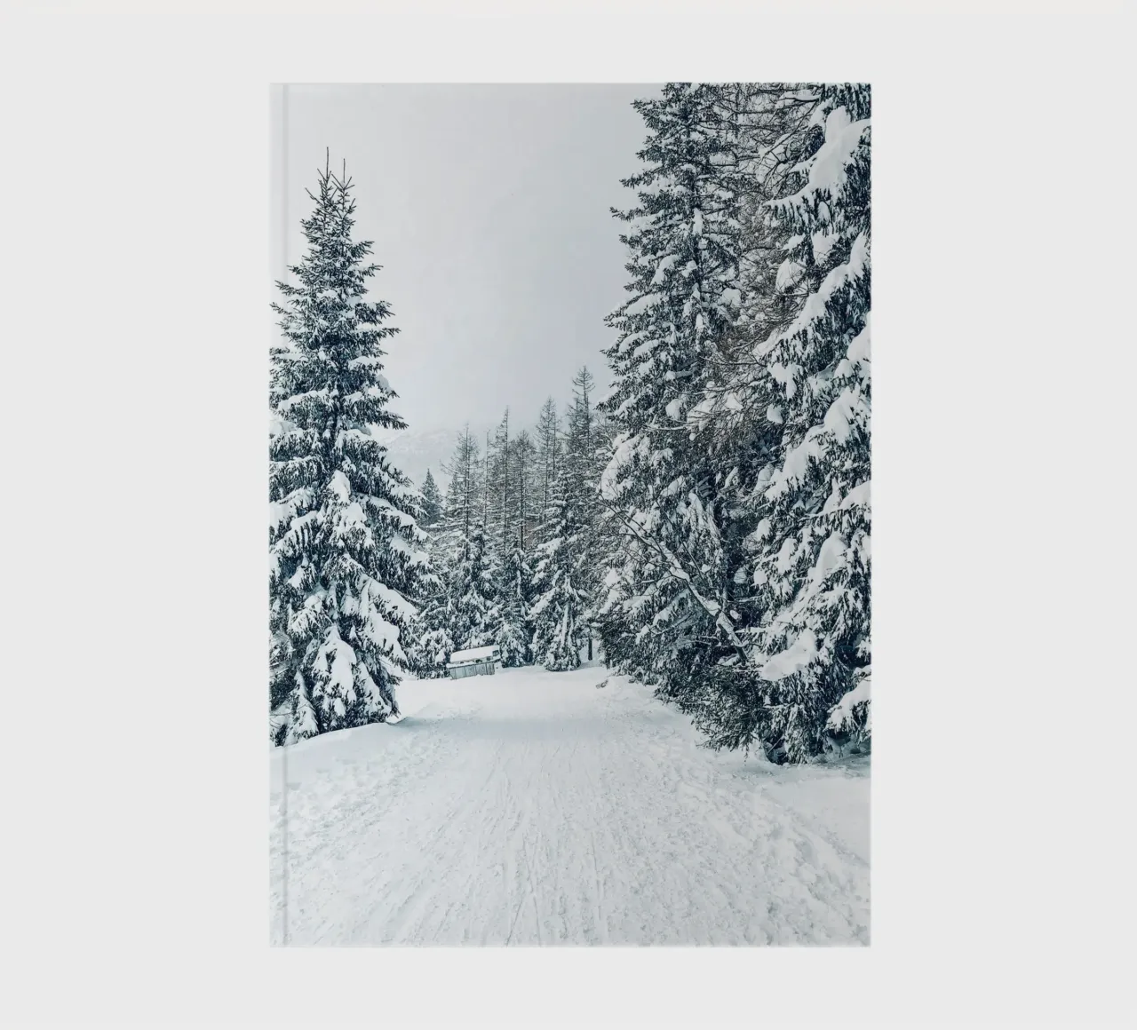 Snowy winter path nature design notebook by Whole©