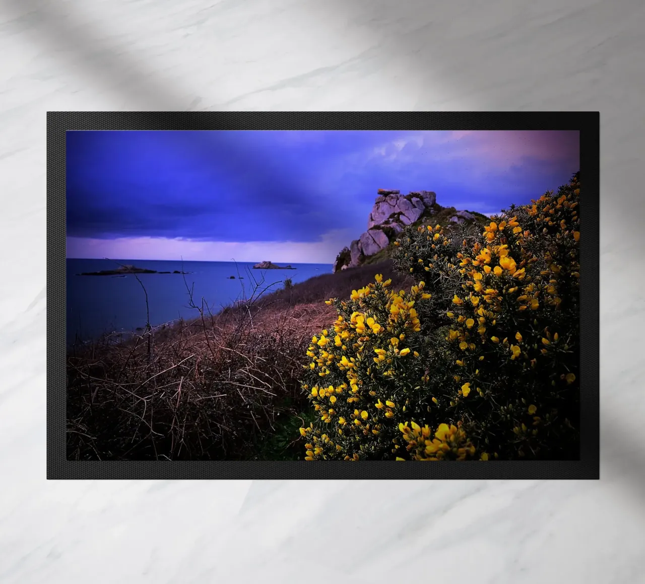 FAA106 zerbino da Thierry vobmann photography