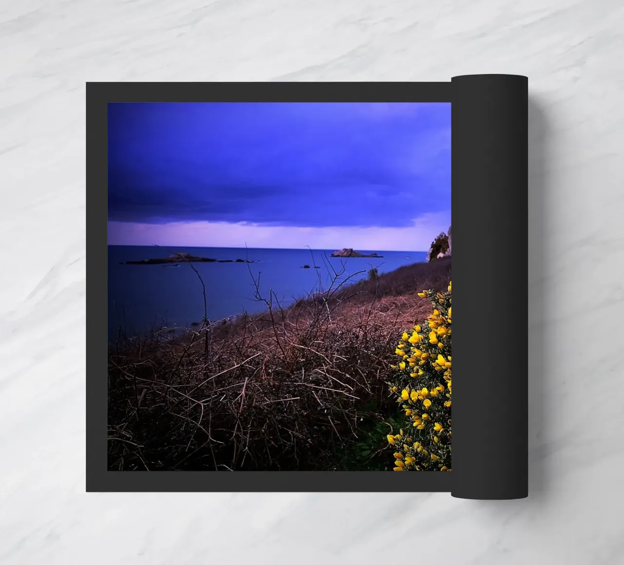 FAA106 zerbino da Thierry vobmann photography