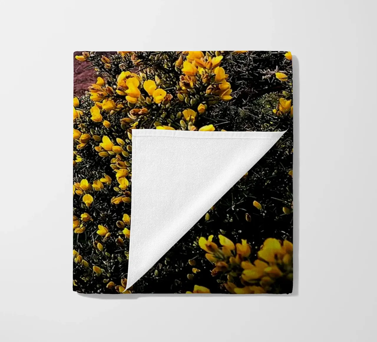 FAA106 telo mare da Thierry vobmann photography