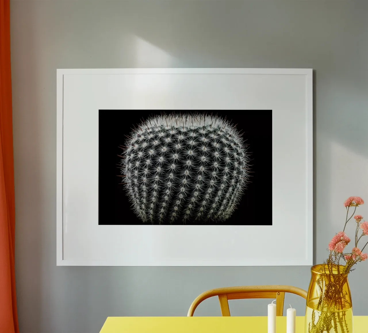 Notocactus Scopa - Victor Mozqueda poster con telaio in plastica da Pictufy