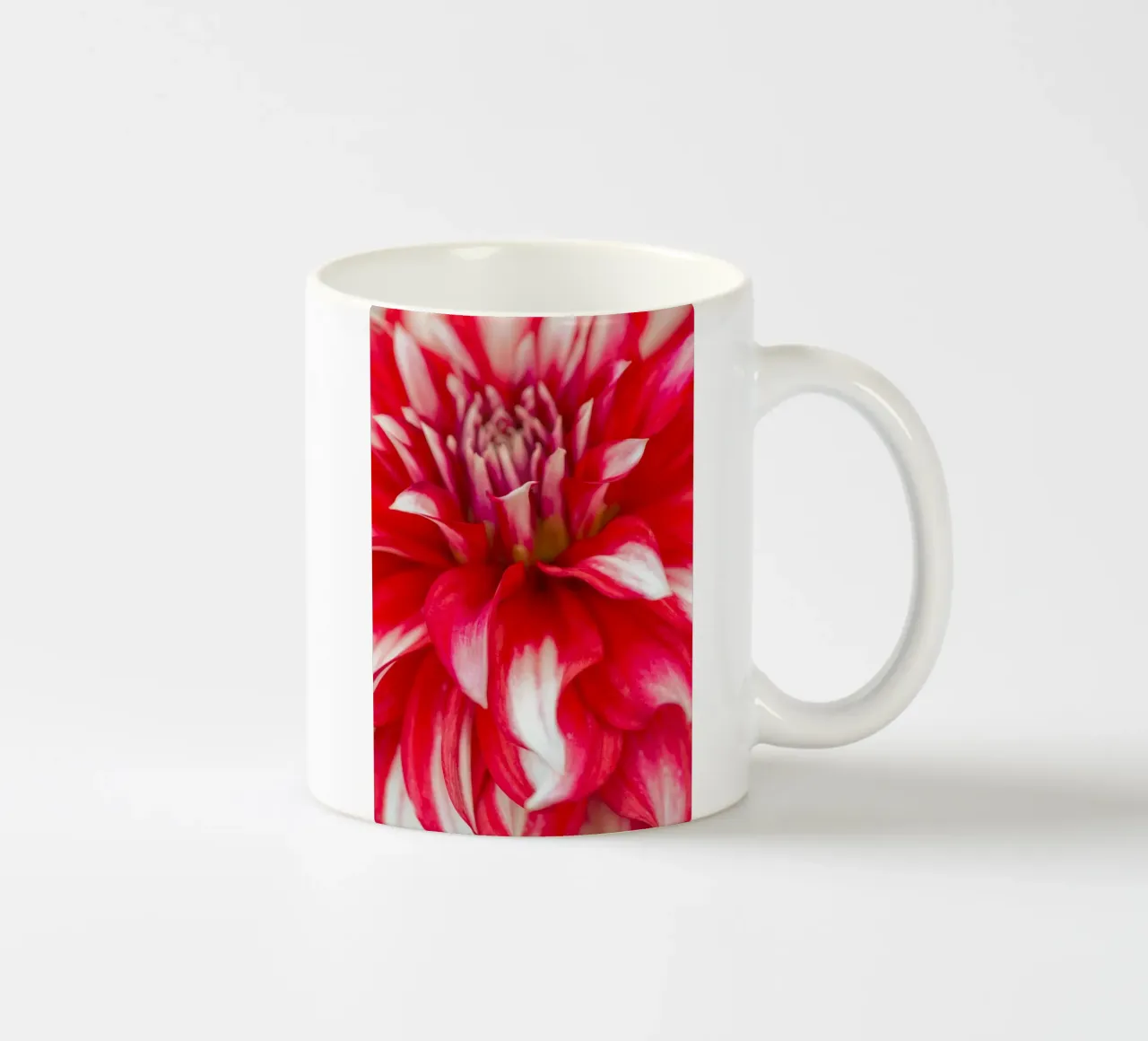 Bellezza audace e sorprendente: Dalia rossa e bianca tazza in ceramica da Curious Collections by Marielle Leenders