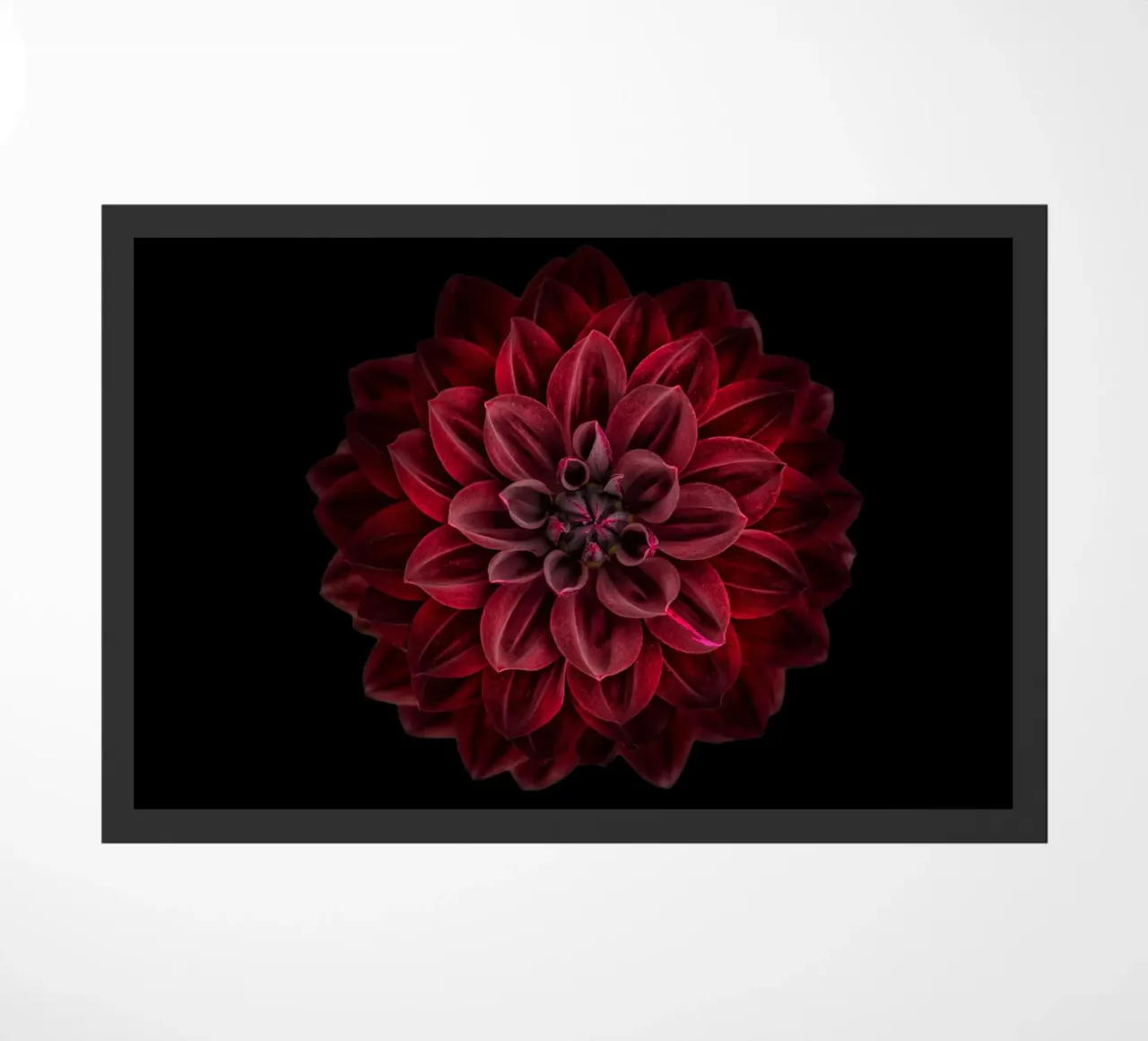 Elegance Redefined: Striking Deep Red Dahlia doormat by Curious Collections by Marielle Leenders