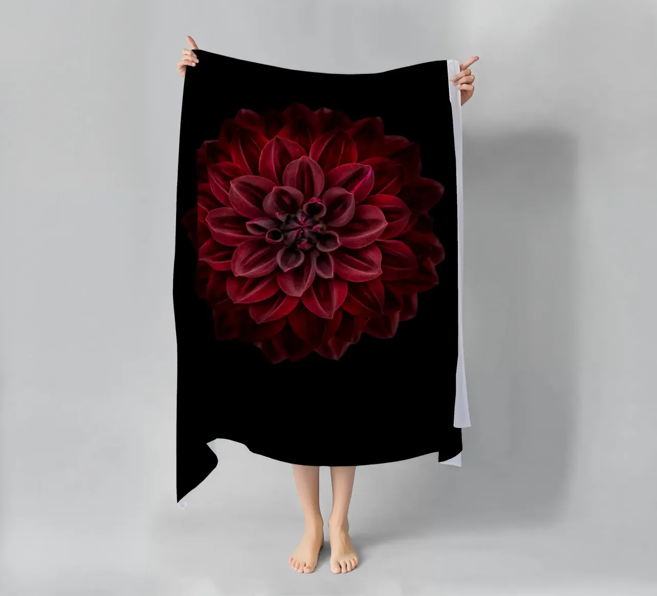 Elegance Redefined: Striking Deep Red Dahlia beach towel by Curious Collections by Marielle Leenders
