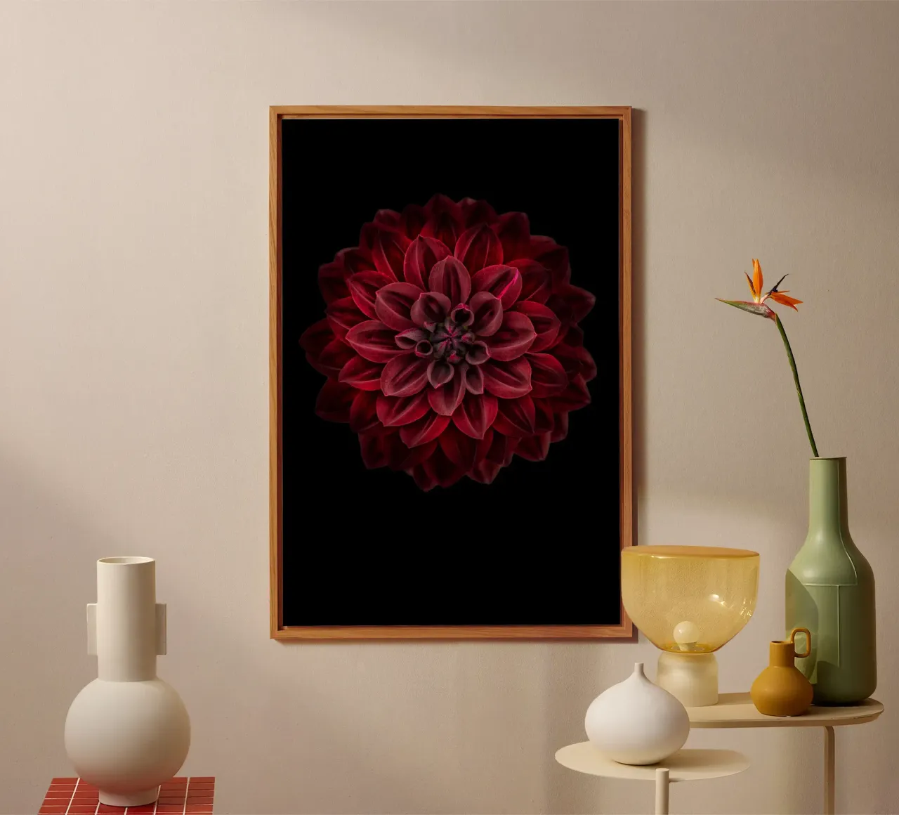 Elegance Redefined: Striking Deep Red Dahlia alu-dibond by Curious Collections by Marielle Leenders