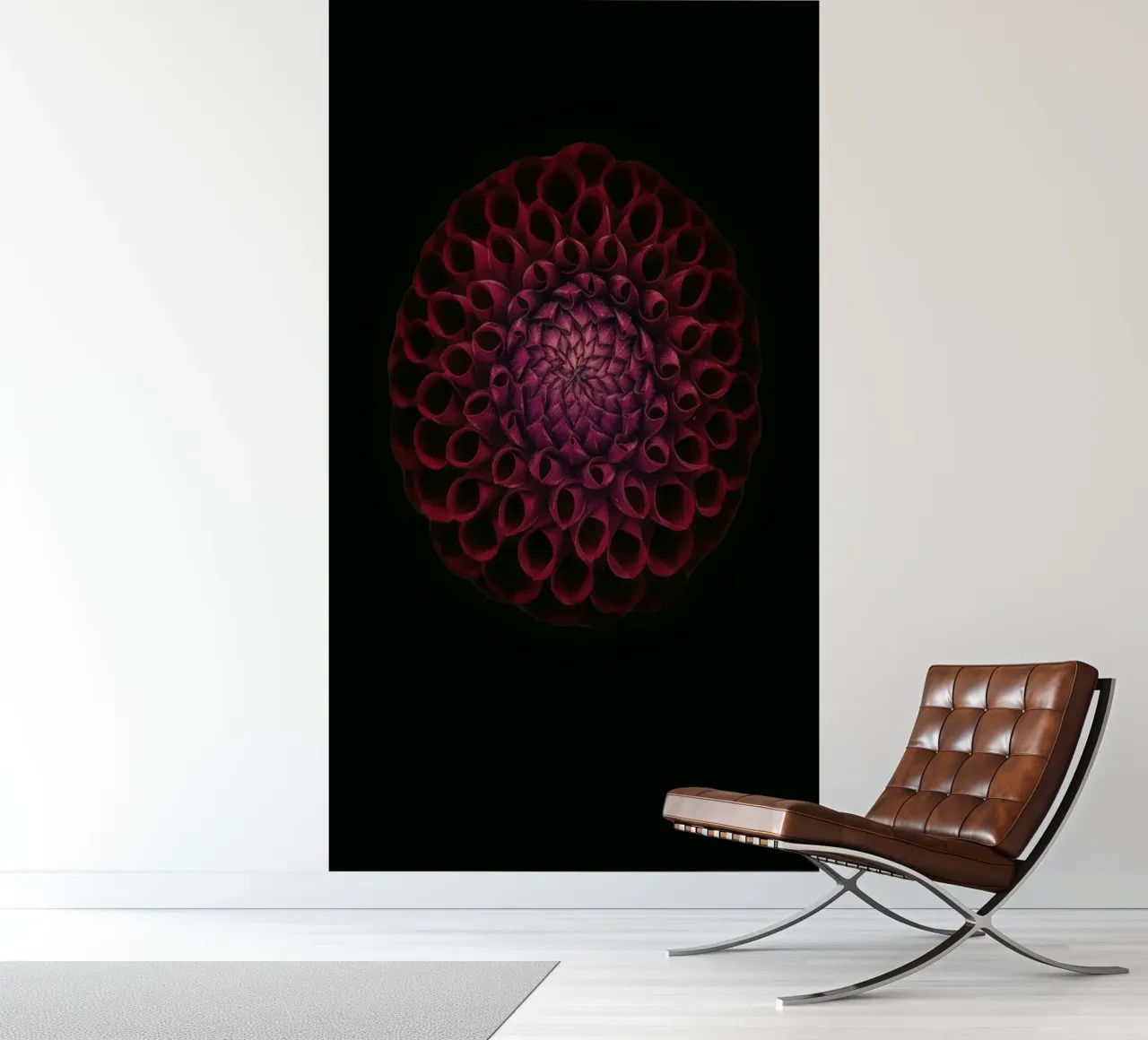Velvety Deep Red Dahlia – A Bold Statement of Elegance photo wallpaper by Curious Collections by Marielle Leenders